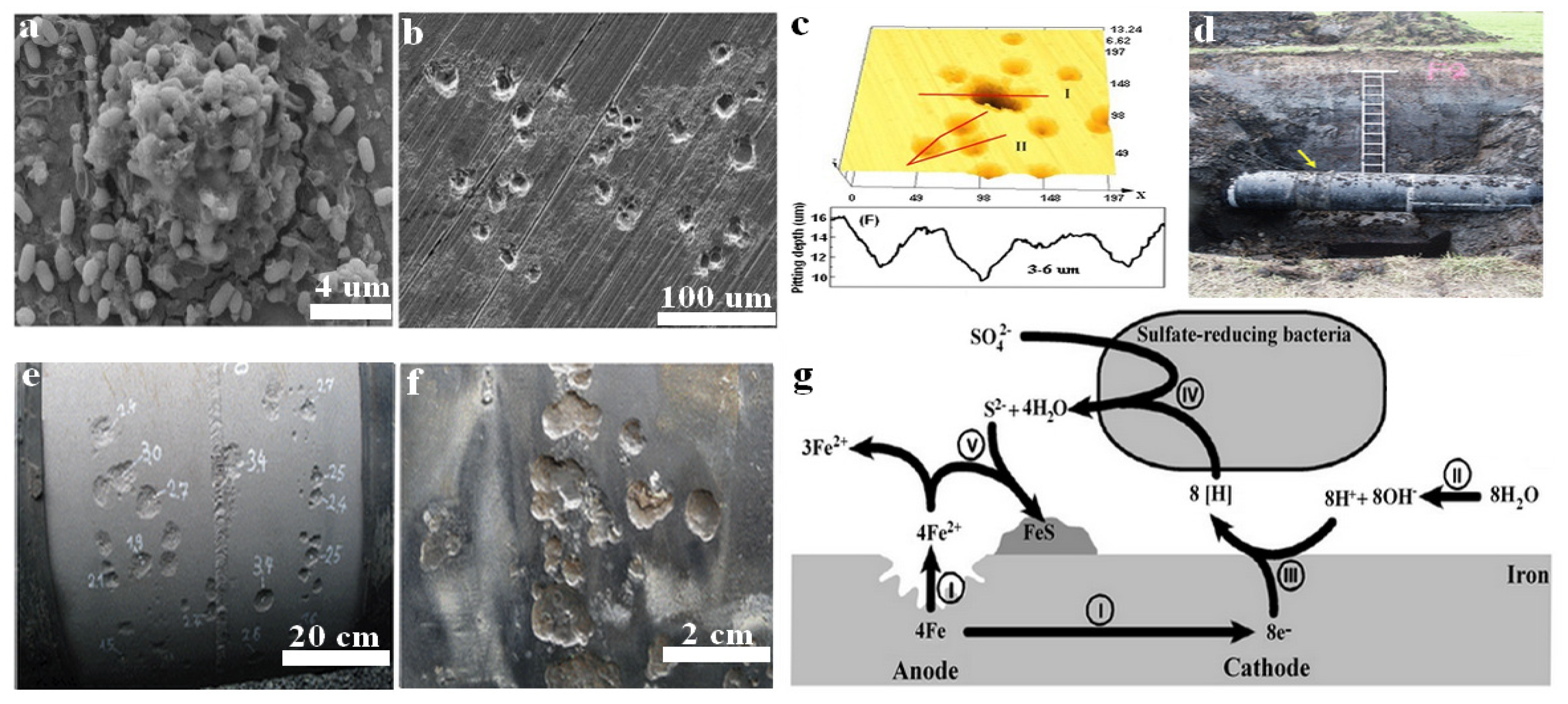 Metals 12 01458 g001