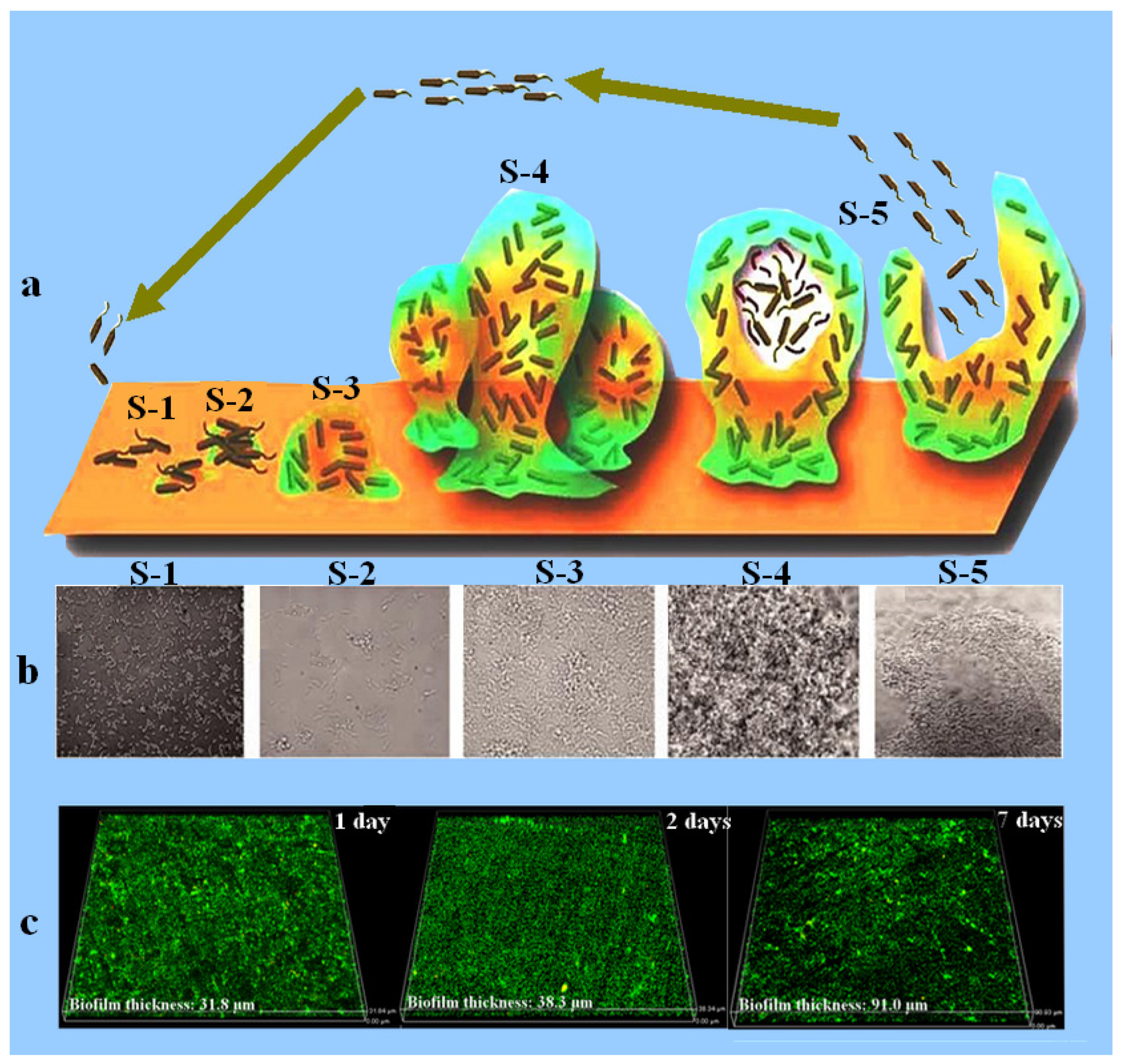 Metals 12 01458 g002
