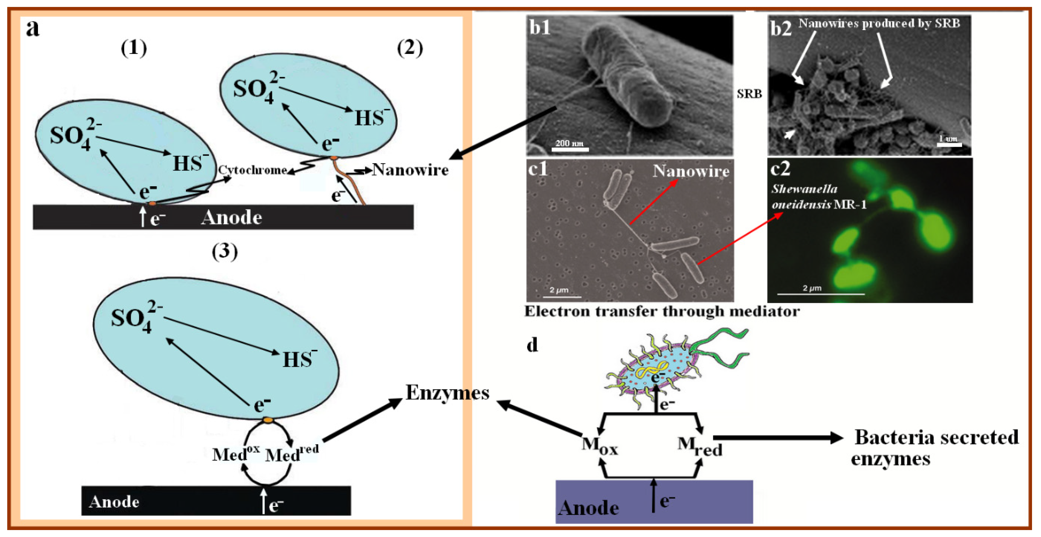 Metals 12 01458 g004
