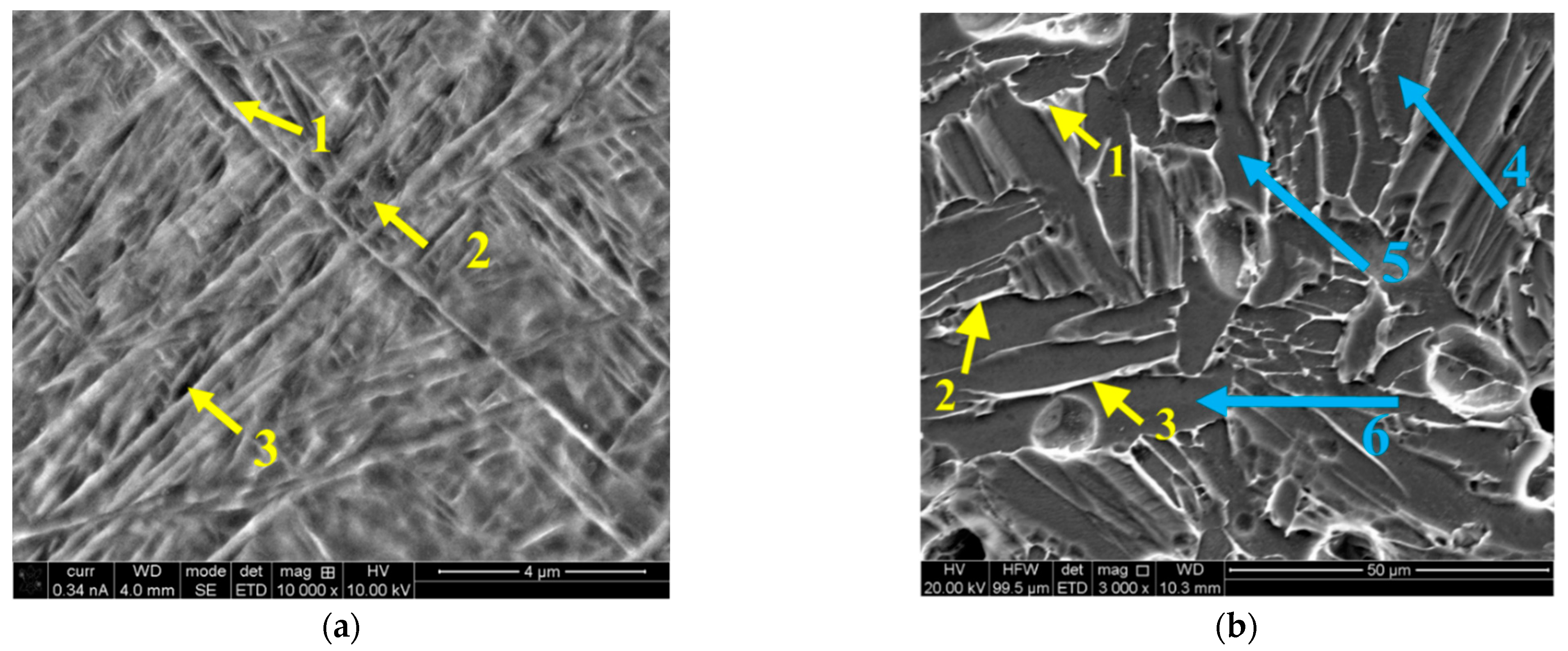 Metals 12 01462 g007b 550