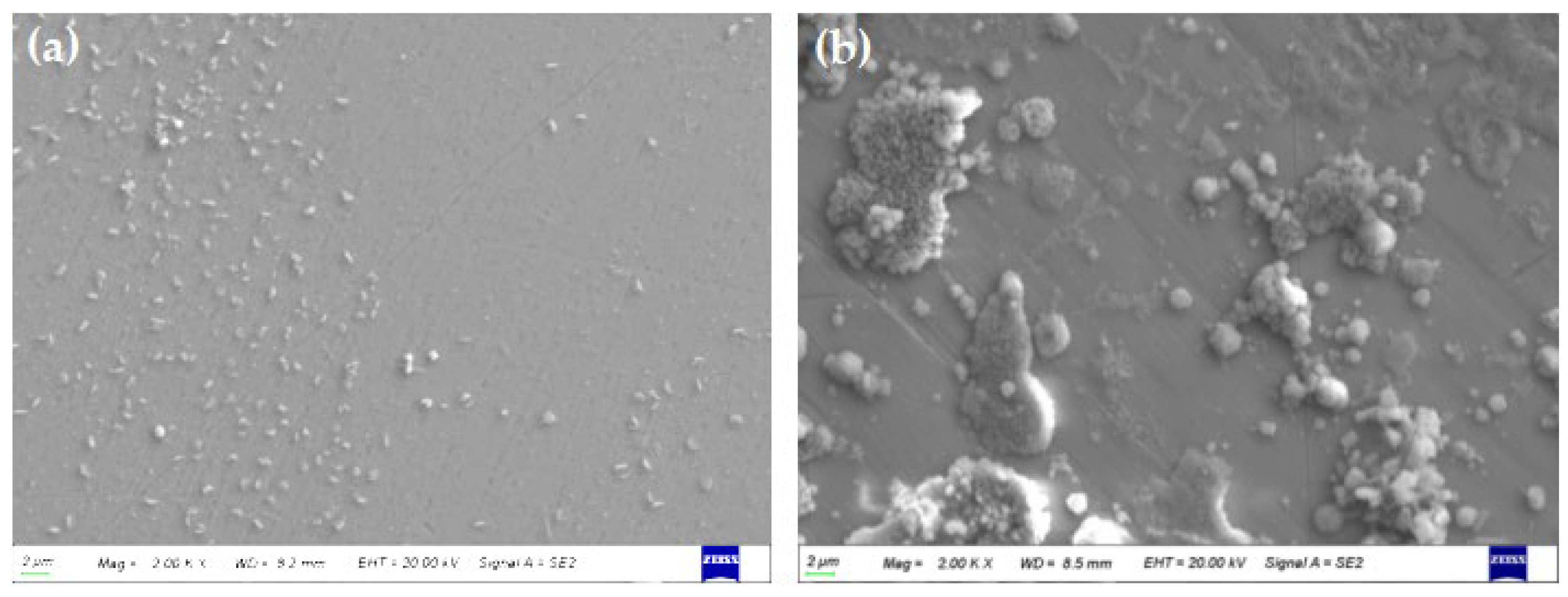 Metals 12 01467 g012 Metals 12 01467 g012