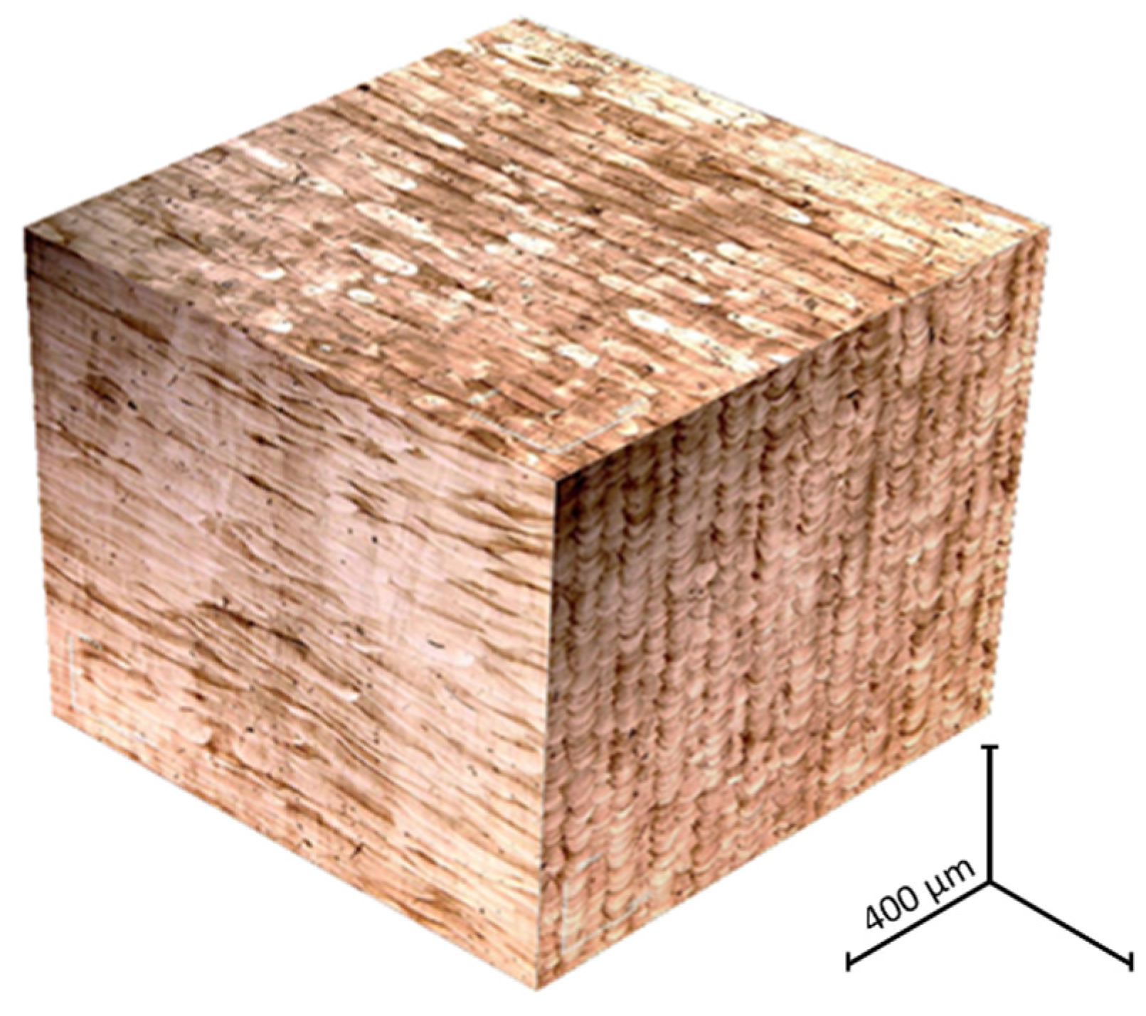 Metals 12 01494 g010