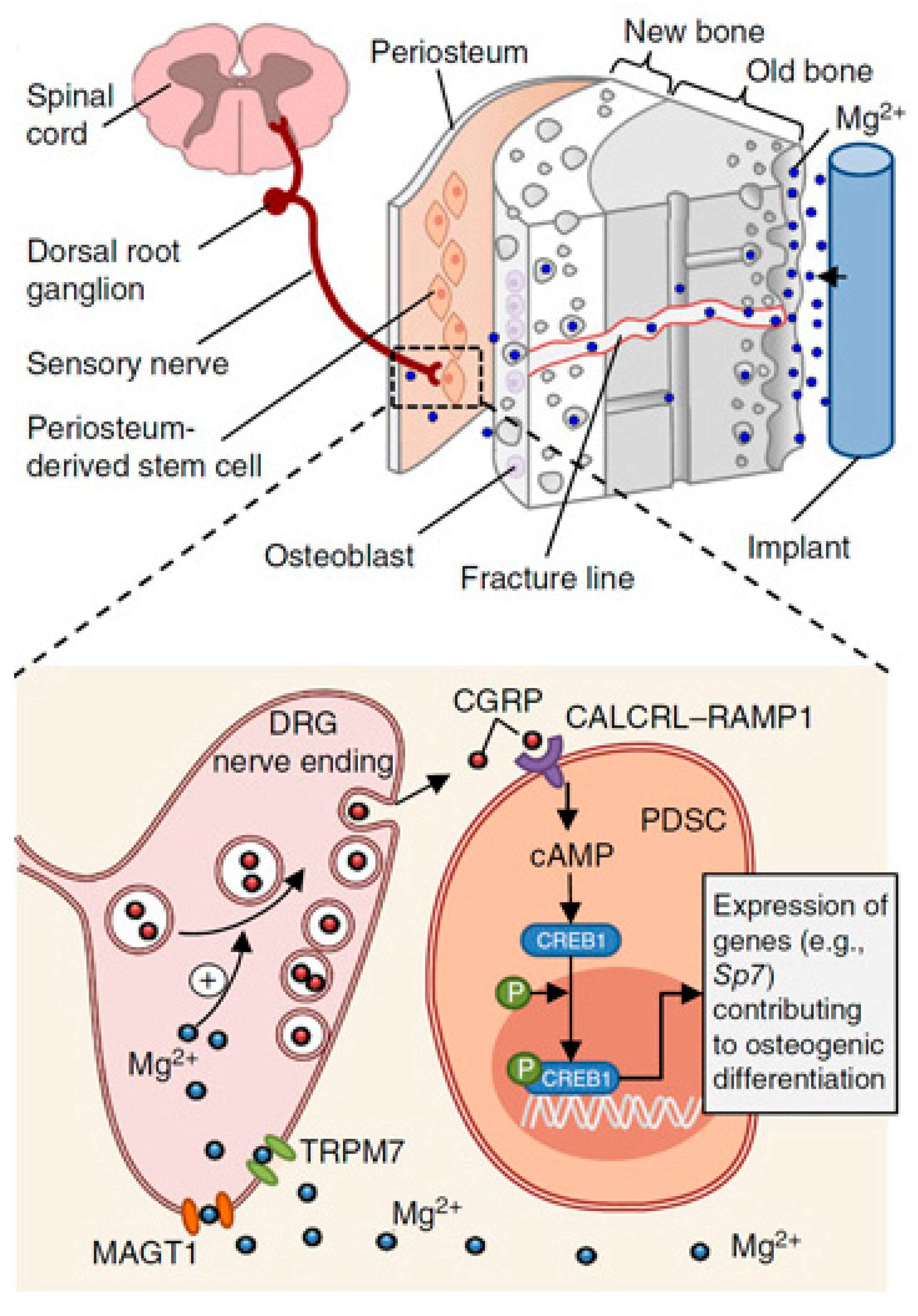 Metals 12 01500 g001
