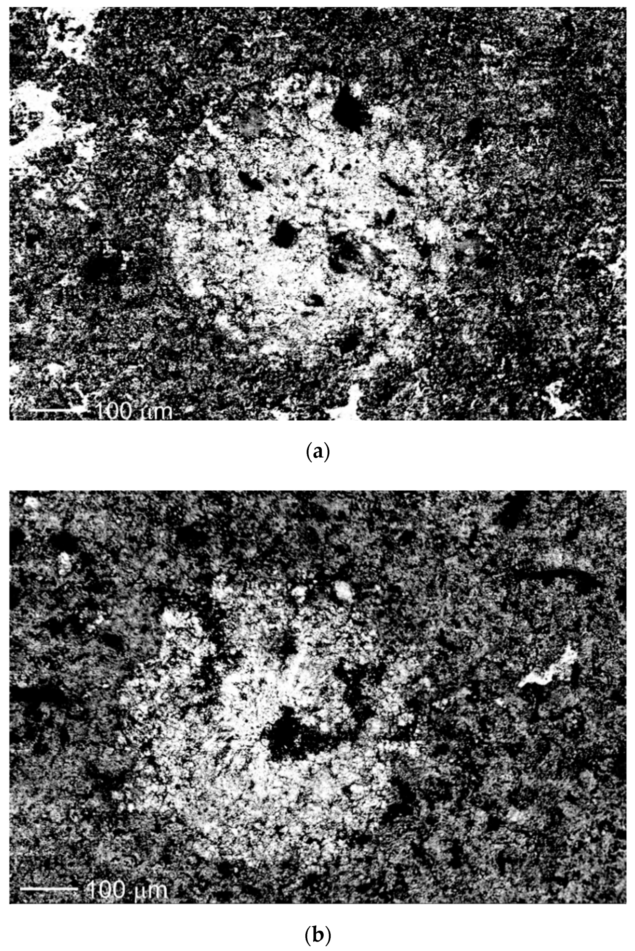 Metals 12 01558 g001a