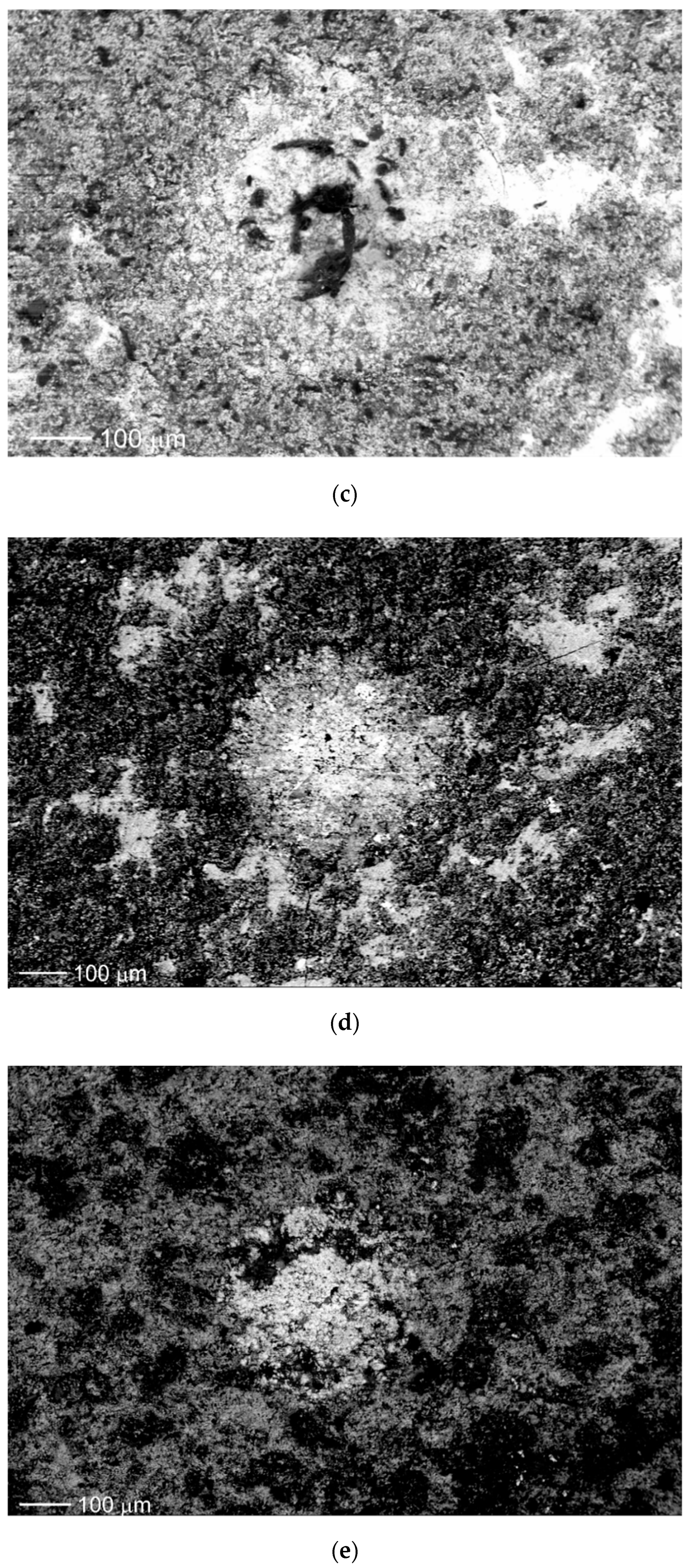 Metals 12 01558 g001b