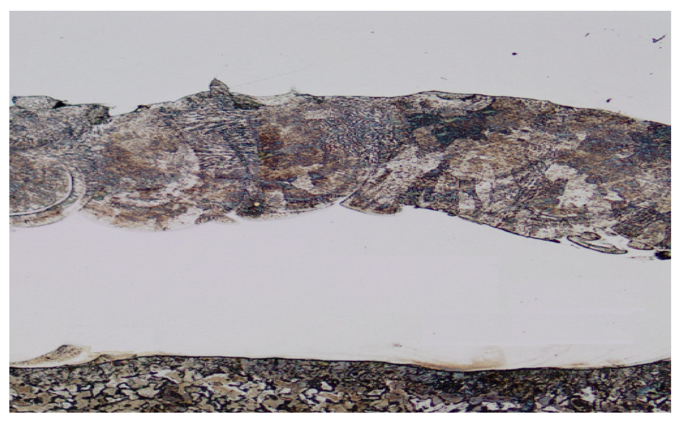 Metals 12 01566 g014