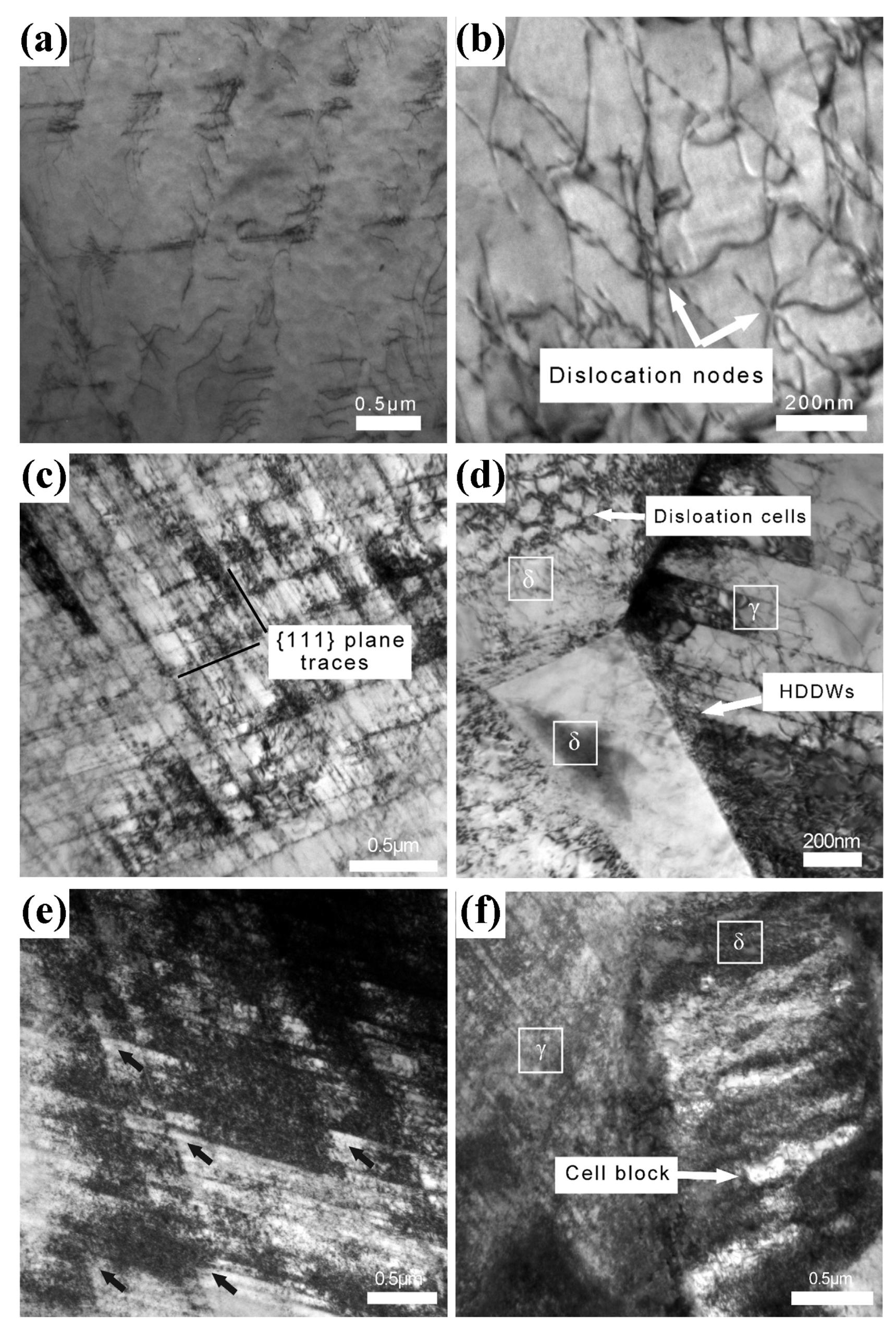 Metals 12 01572 g004 Metals 12 01572 g004