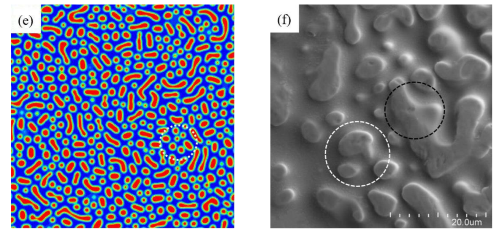 Metals 12 01640 g007b