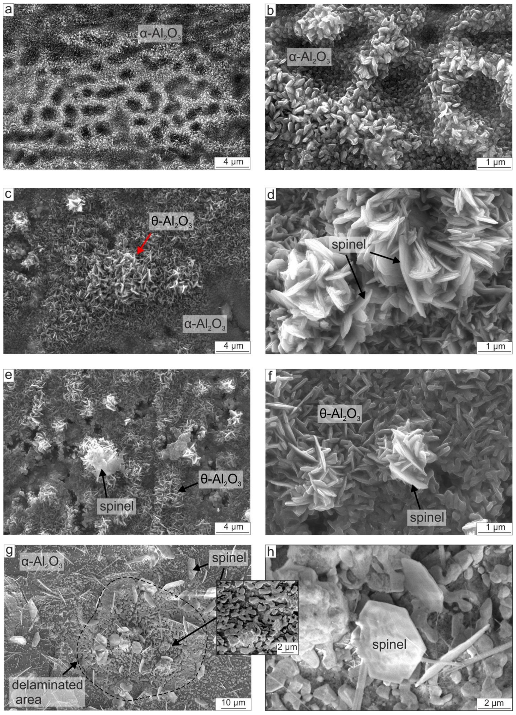 Metals 12 01679 g013 Metals 12 01679 g013