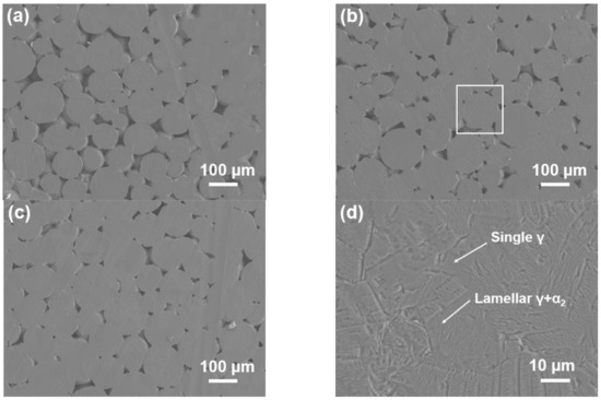その他 ma C86FMH_1_xl__33355.1586036337.