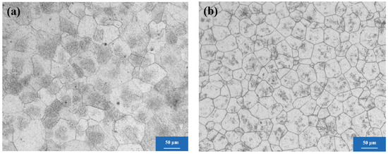 Corrosion Behavior of Mg-xGd-1Zn-0.4Zr Alloys with Different