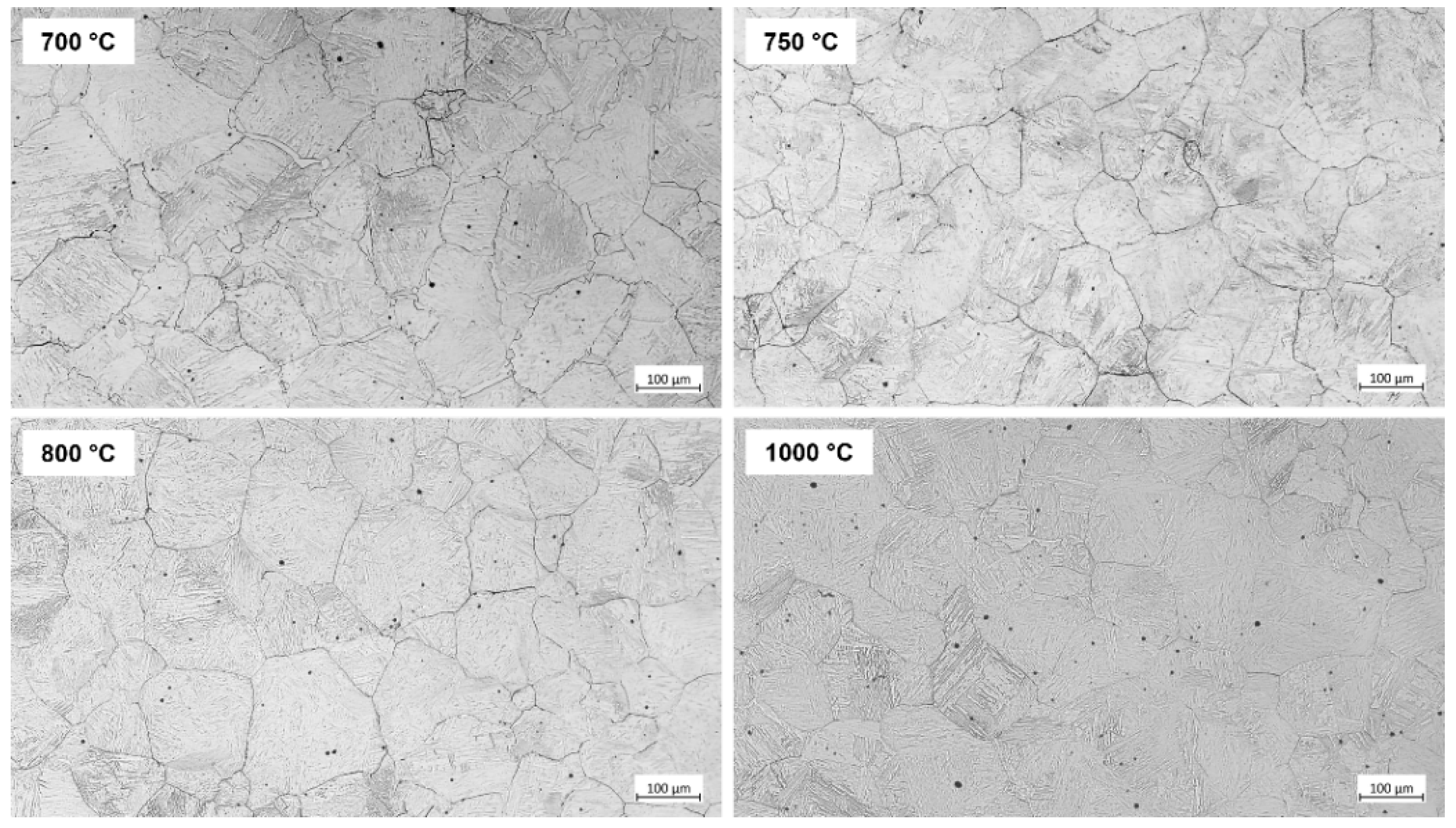 Metals 12 01808 g010