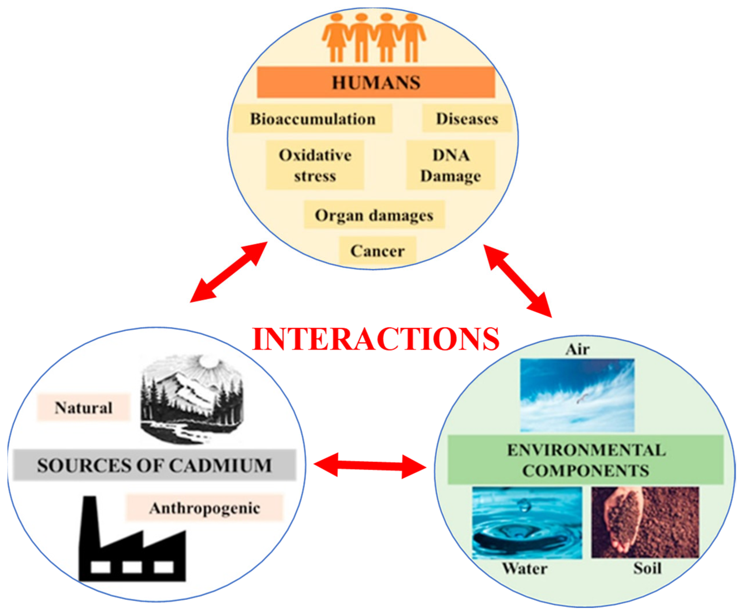 Metals 12 01846 g001