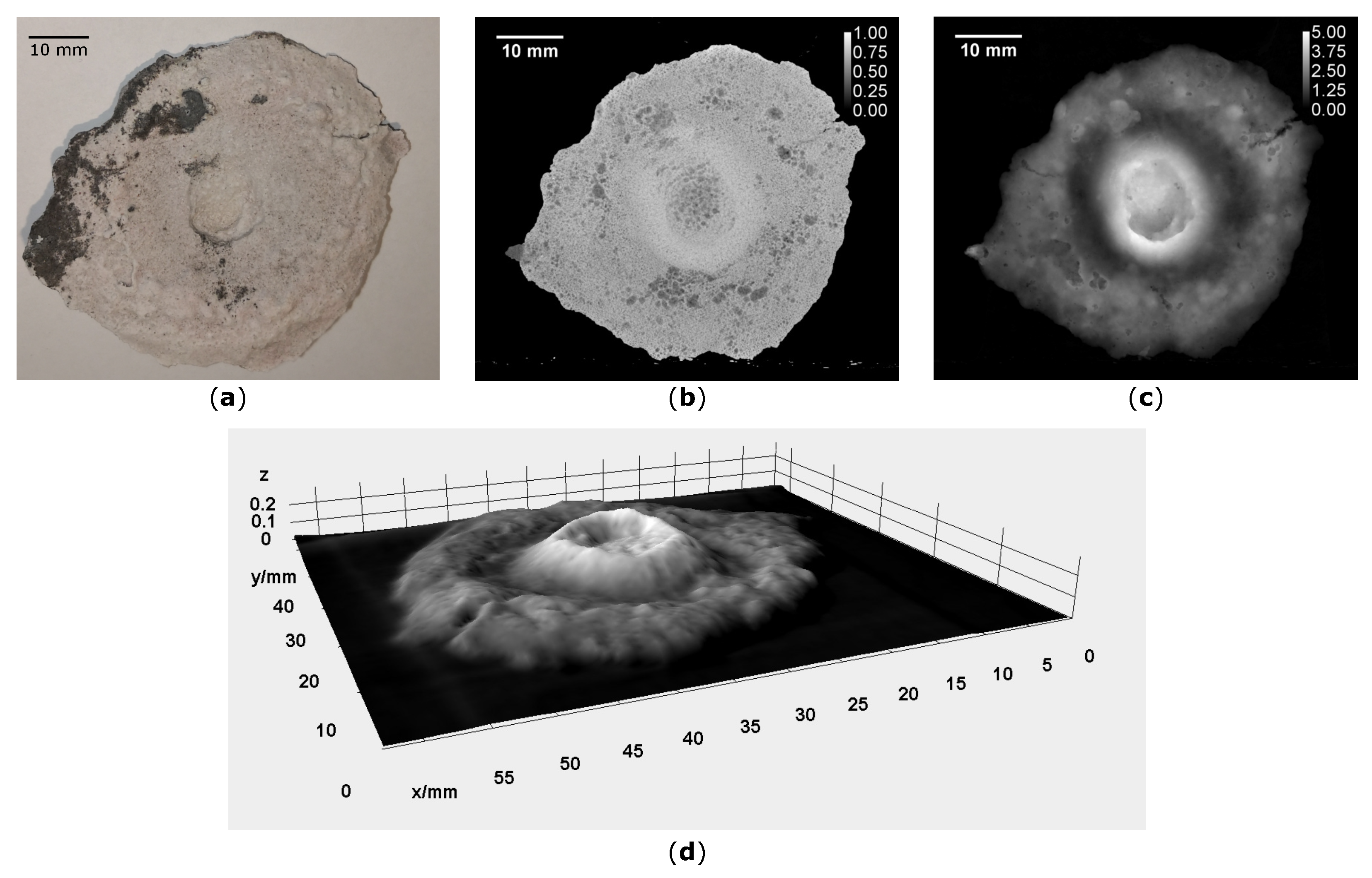 Metals 12 01876 g008
