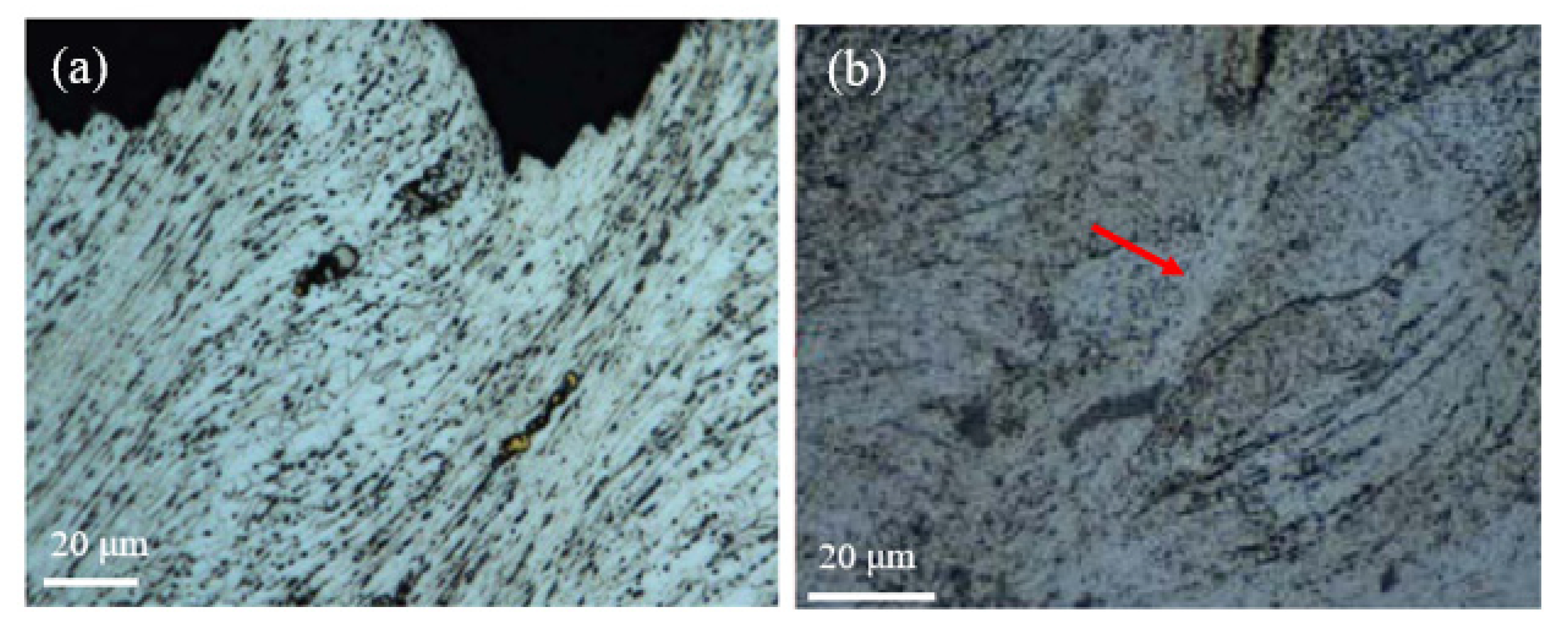Metals Free FullText Adiabatic Shear Banding in Nickel and Nickel