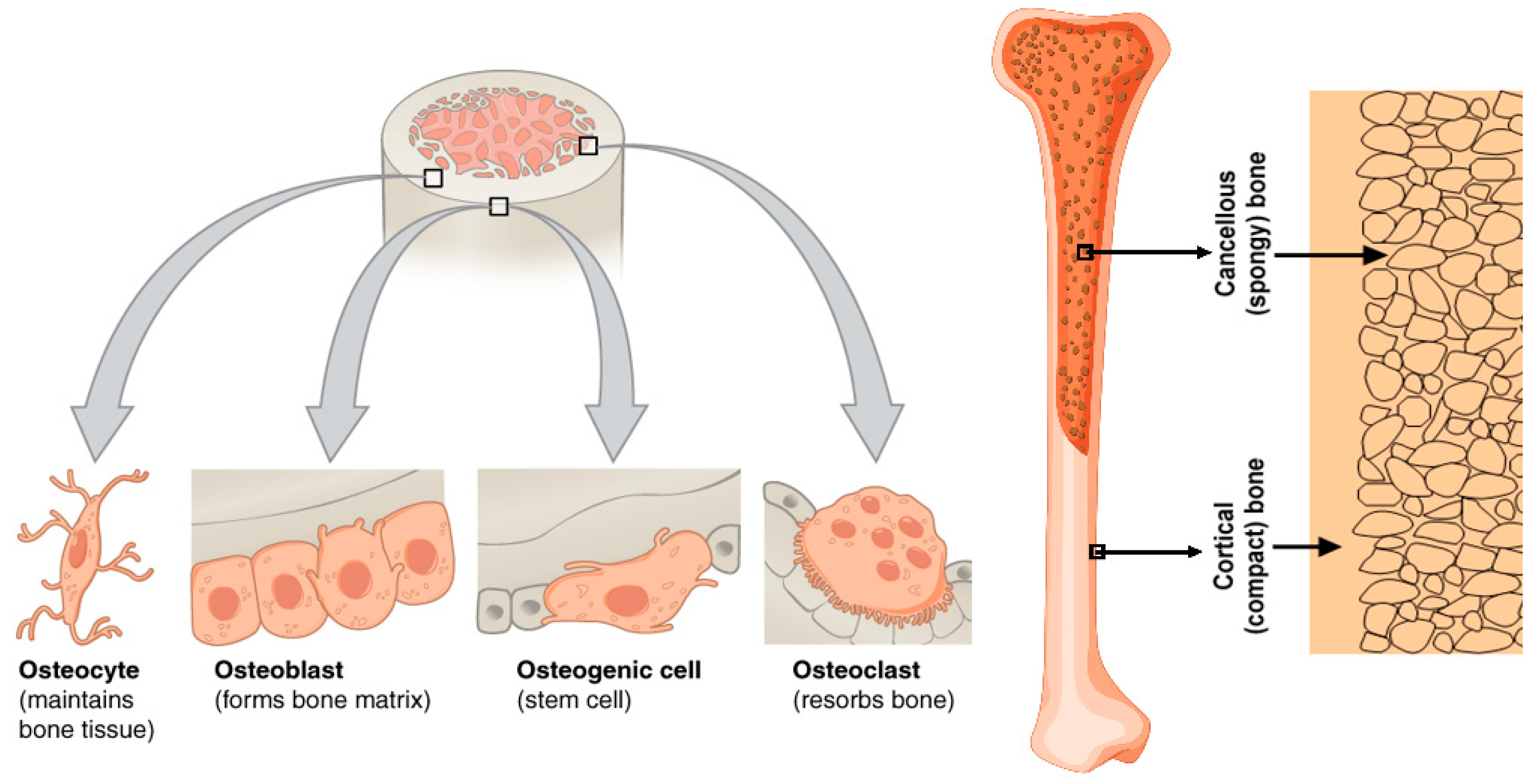 Metals 12 01900 g002 Metals 12 01900 g002