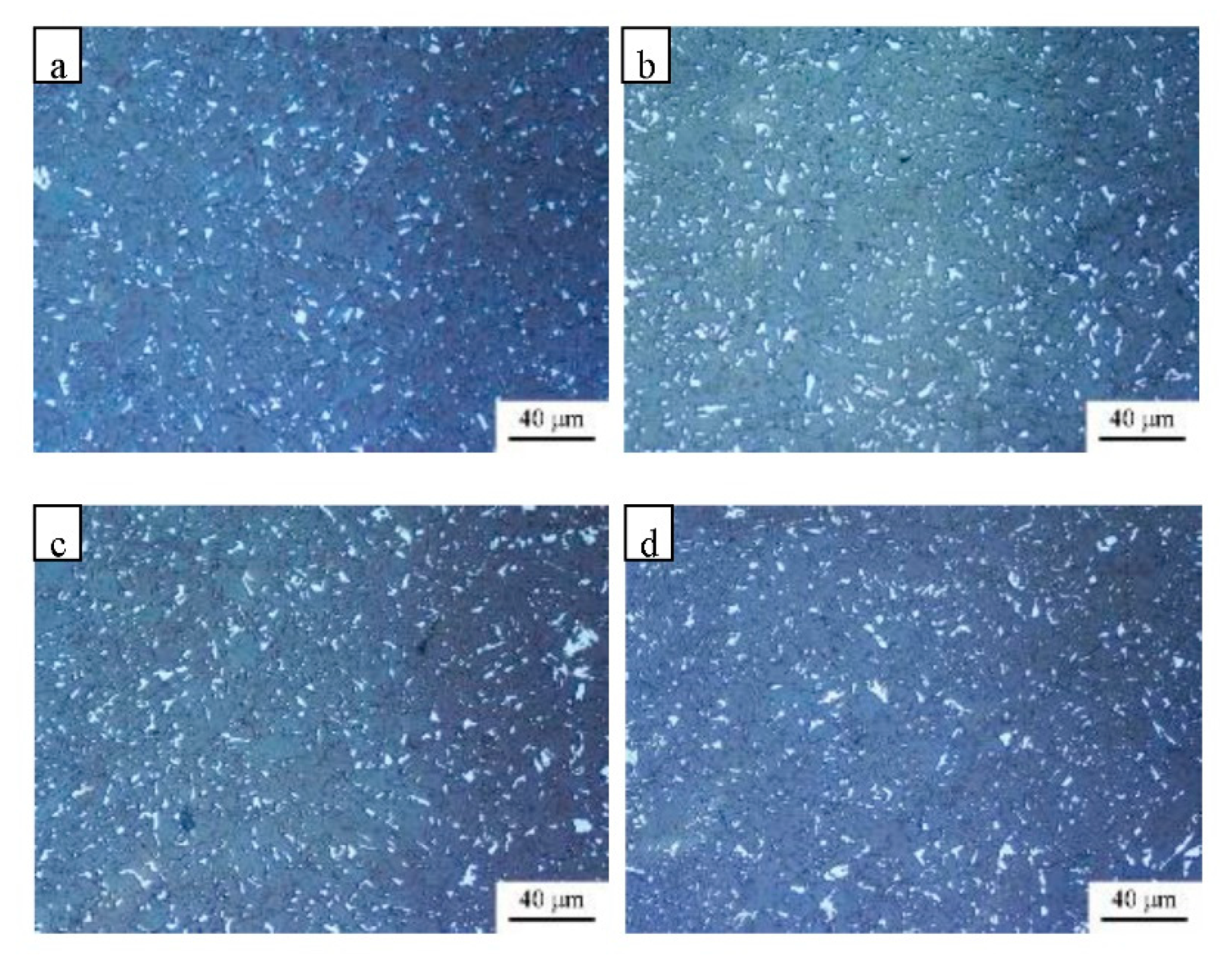 Metals 12 01901 g005