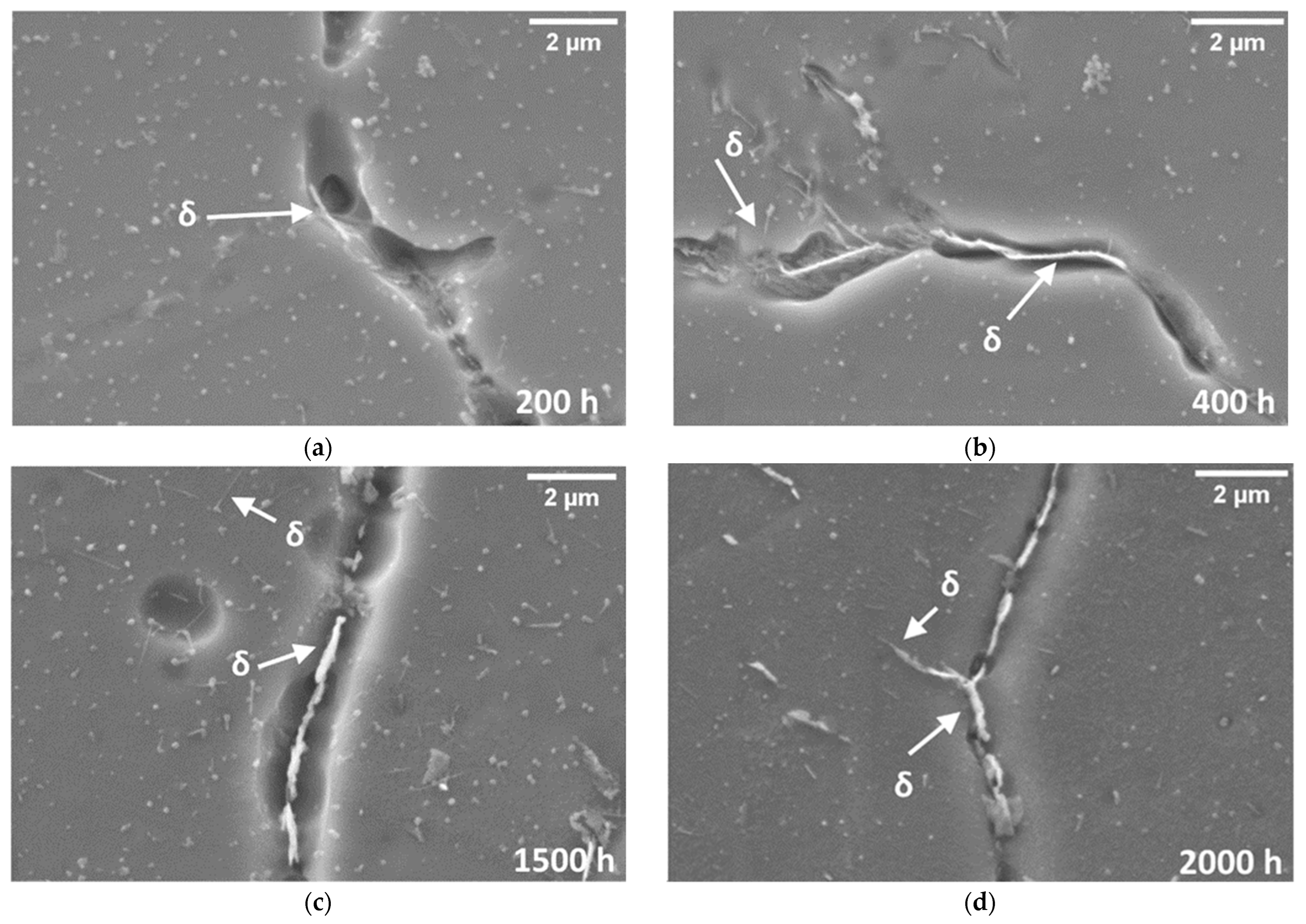 Metals 12 01916 g004 Metals 12 01916 g004