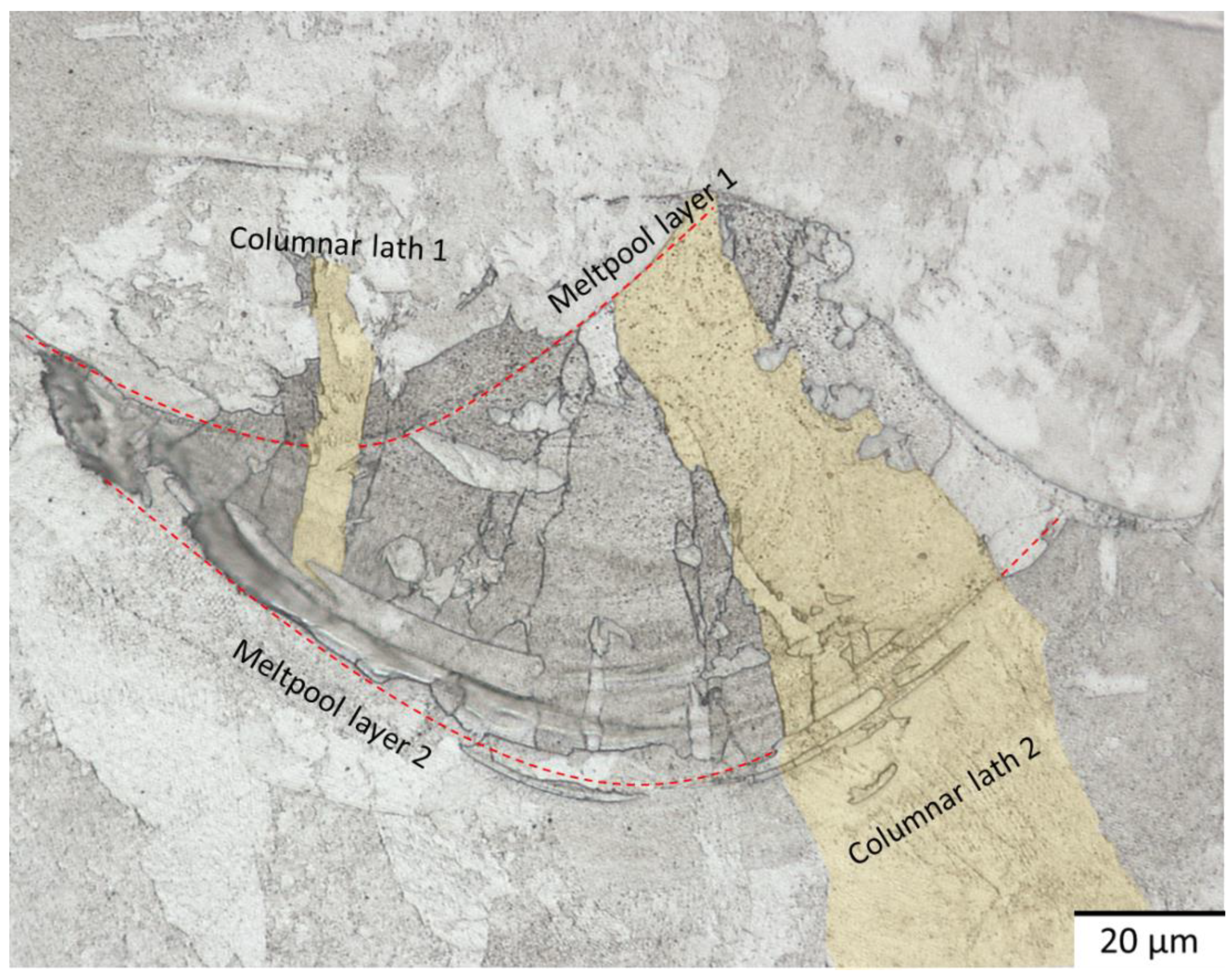 Metals 12 01968 g010
