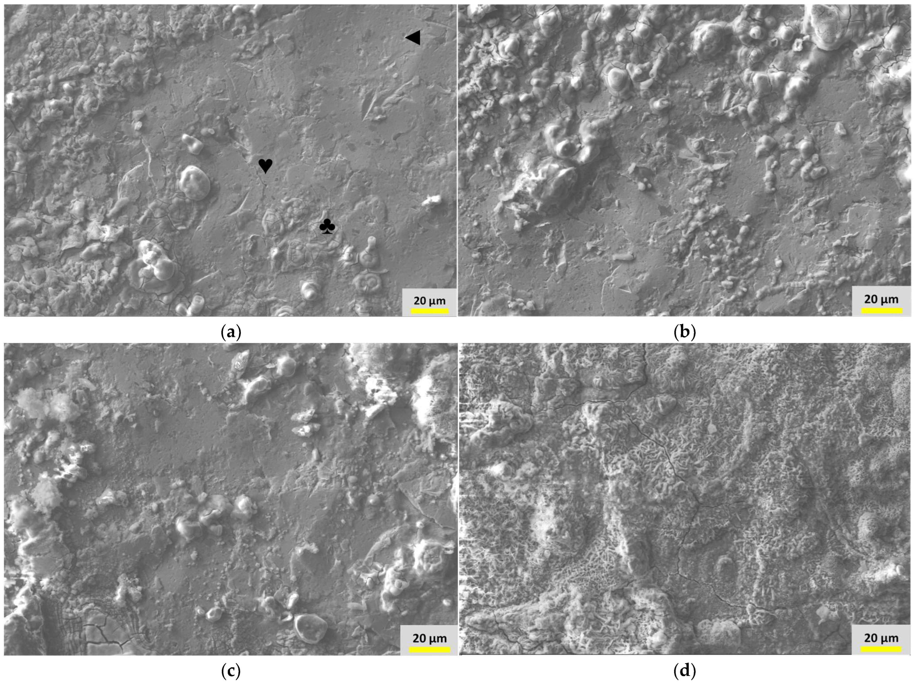 Metals 12 01980 g012