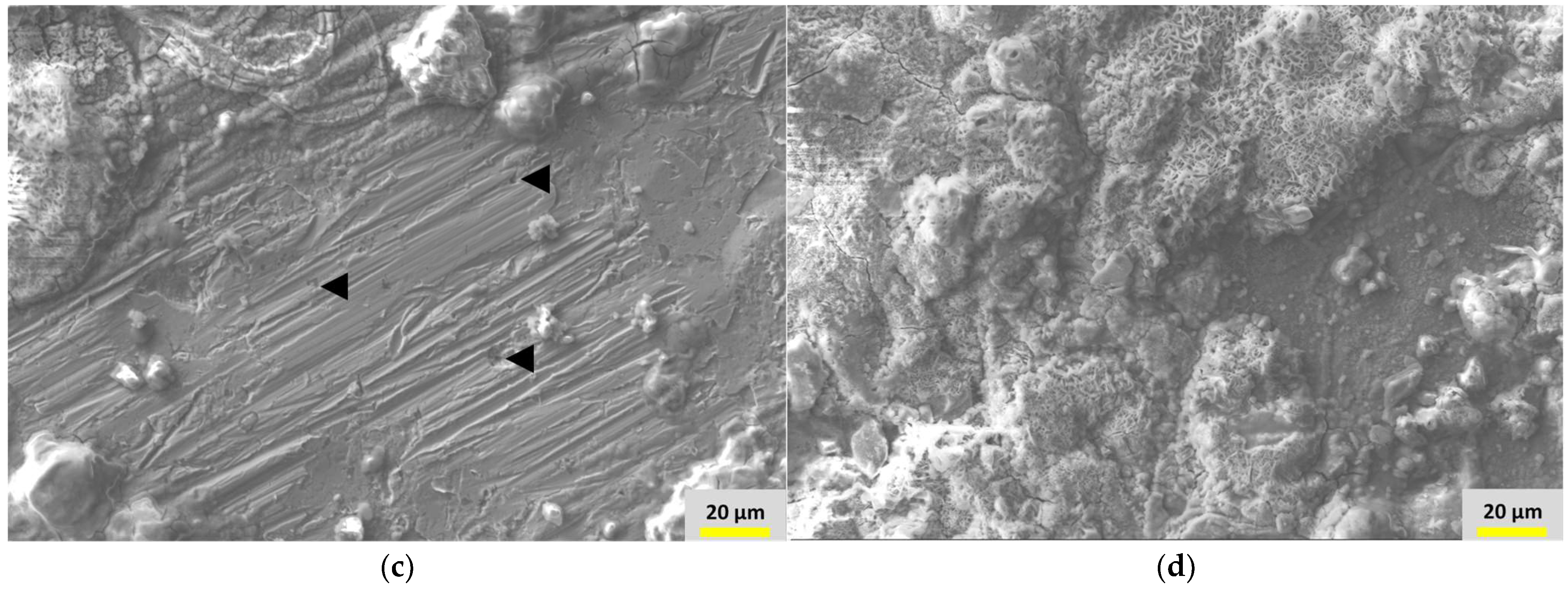 Metals 12 01980 g013b