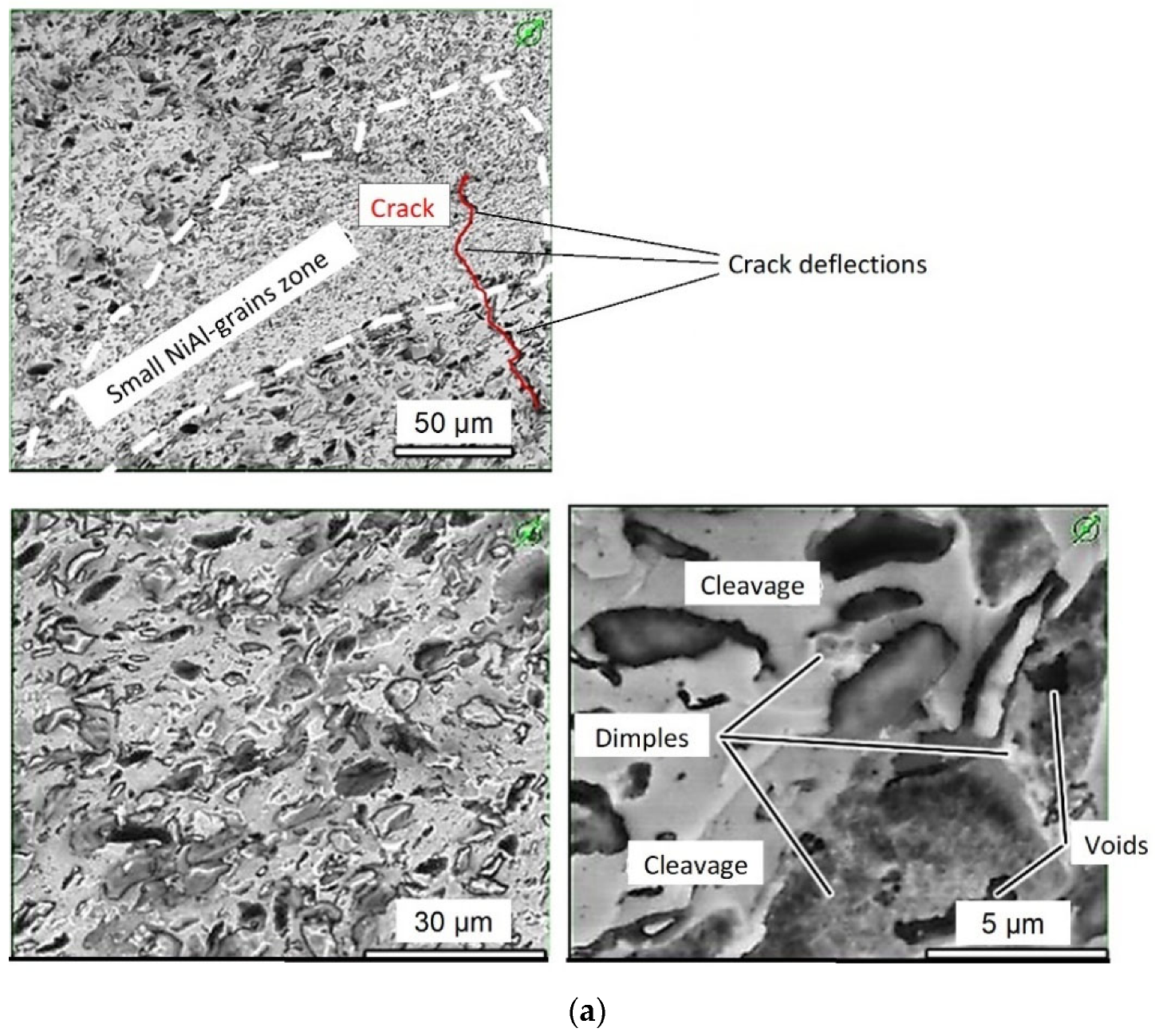 Metals 12 02014 g013a