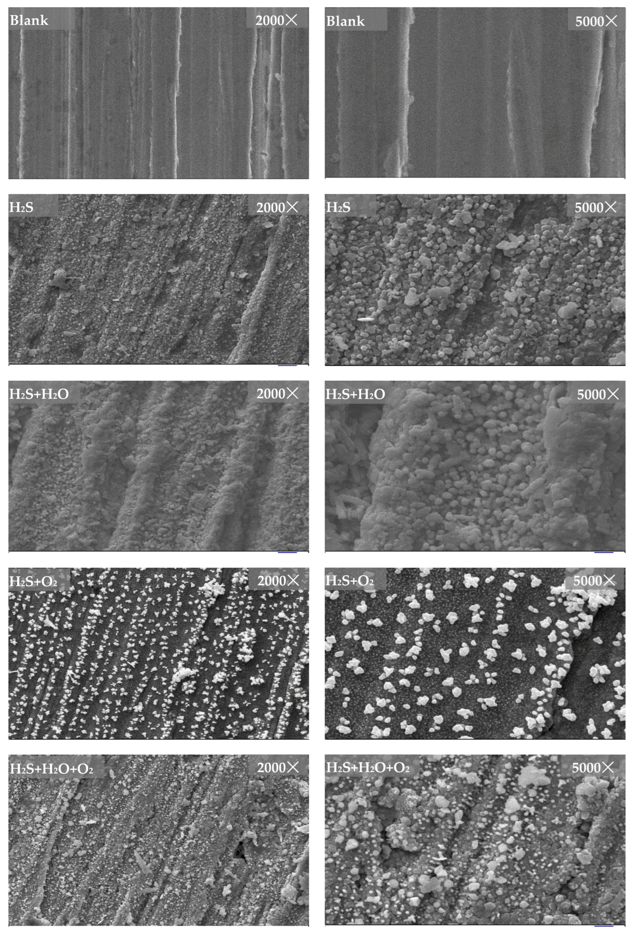 Metals 12 02015 g006