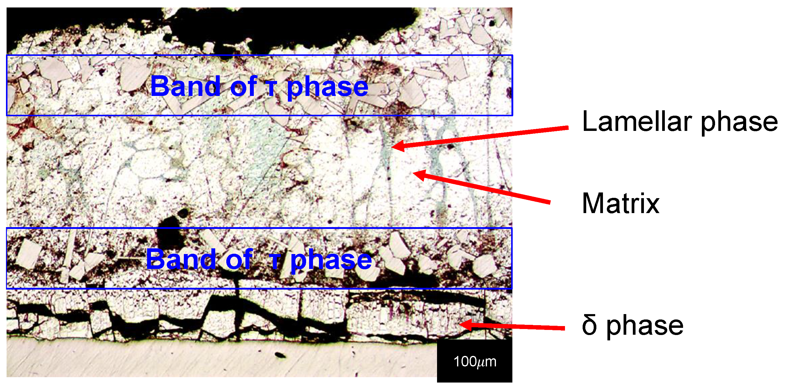 Metals 12 02035 g010