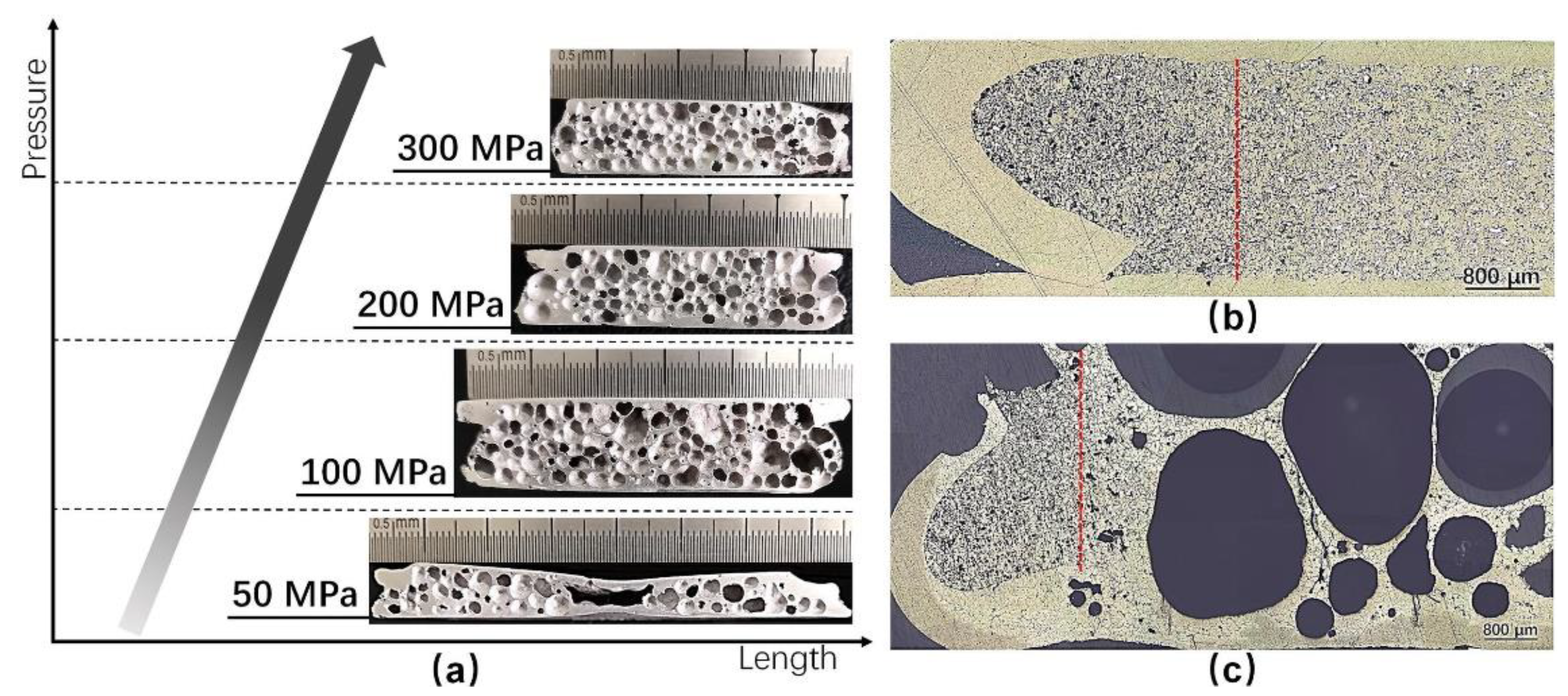 Metals 12 02047 g010