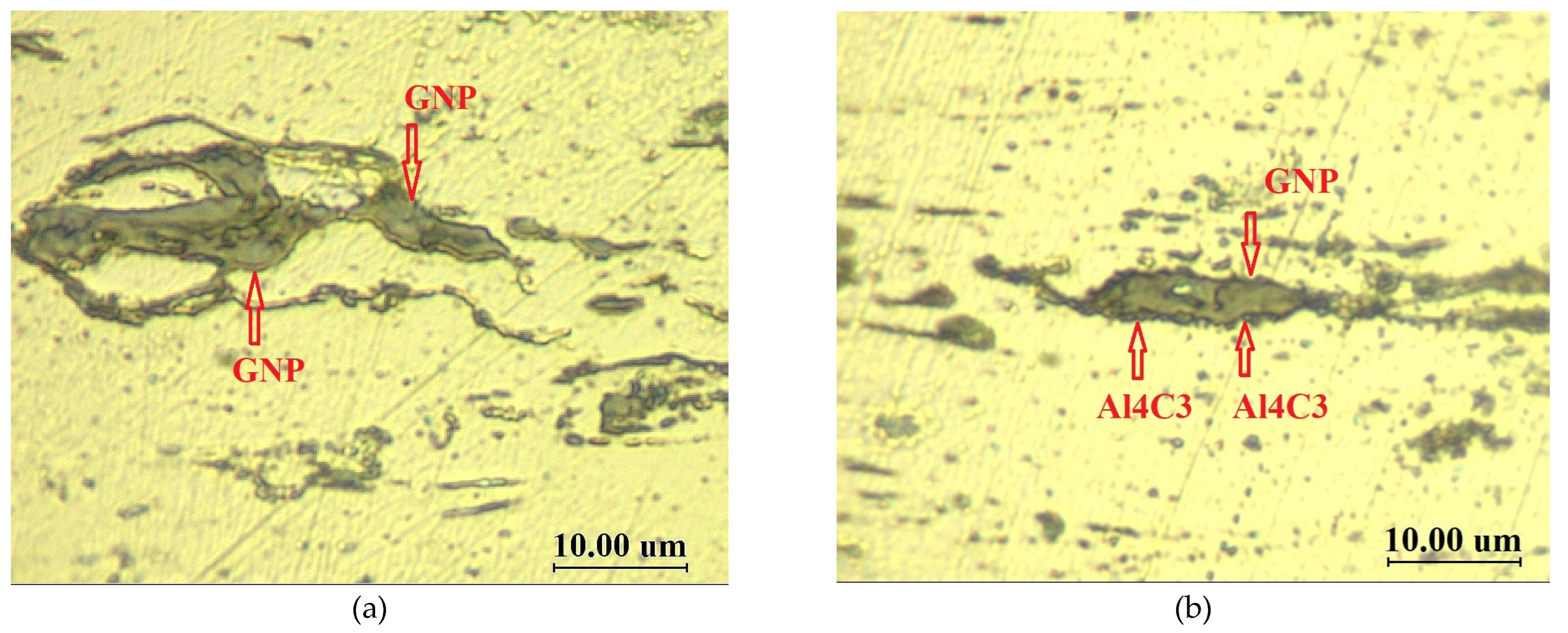 Metals 12 02057 g001 Metals 12 02057 g001