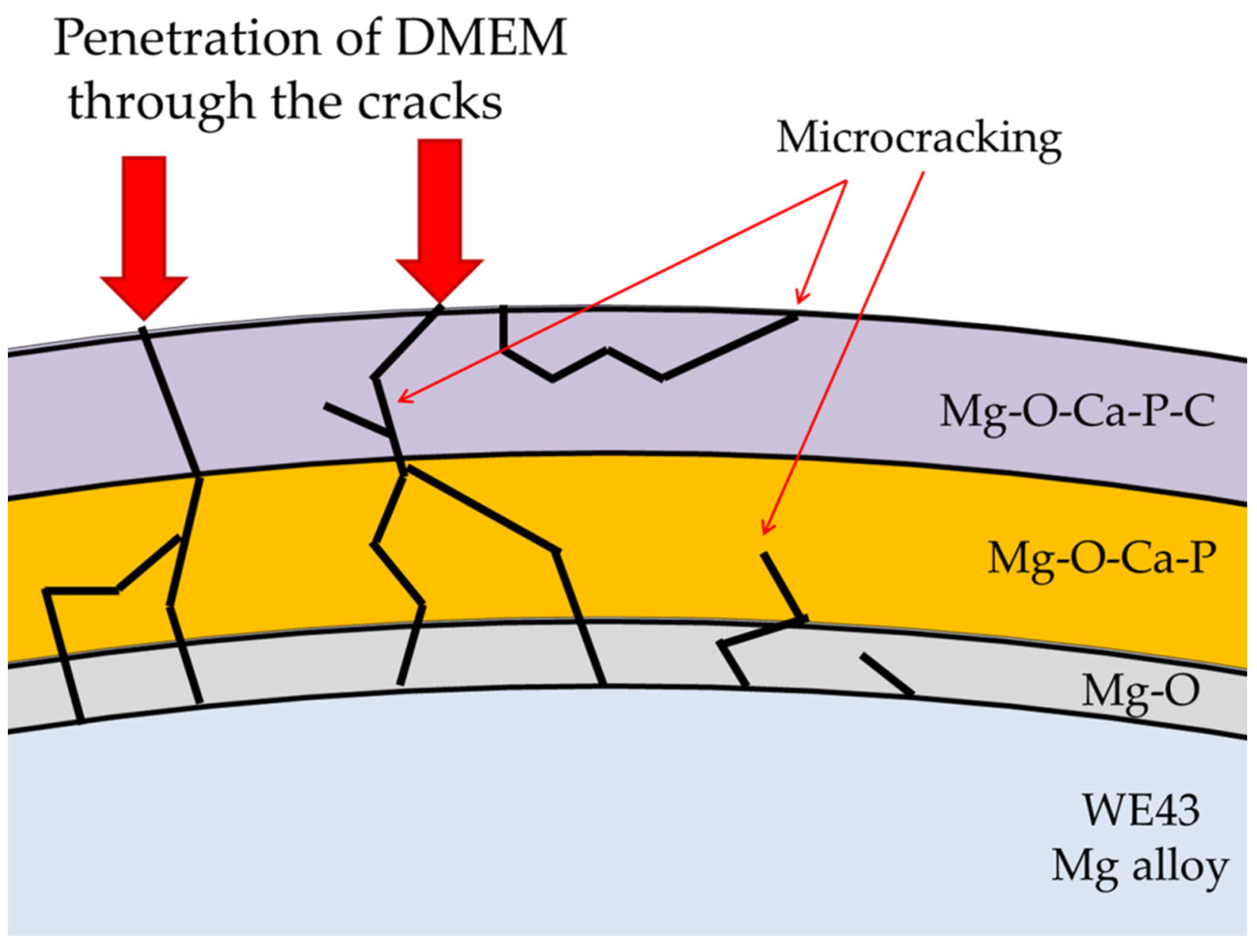 Metals 12 02062 g006