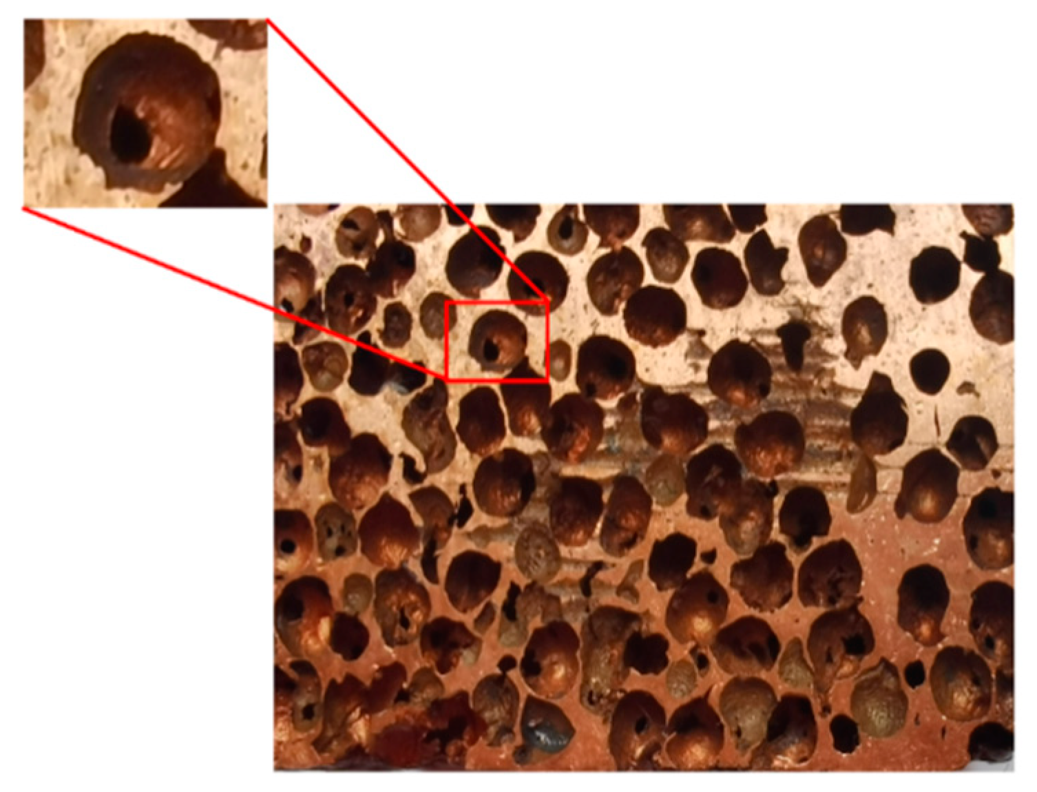 Metals 12 02066 g010