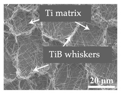 Metals 12 02073 i006 Metals 12 02073 i006