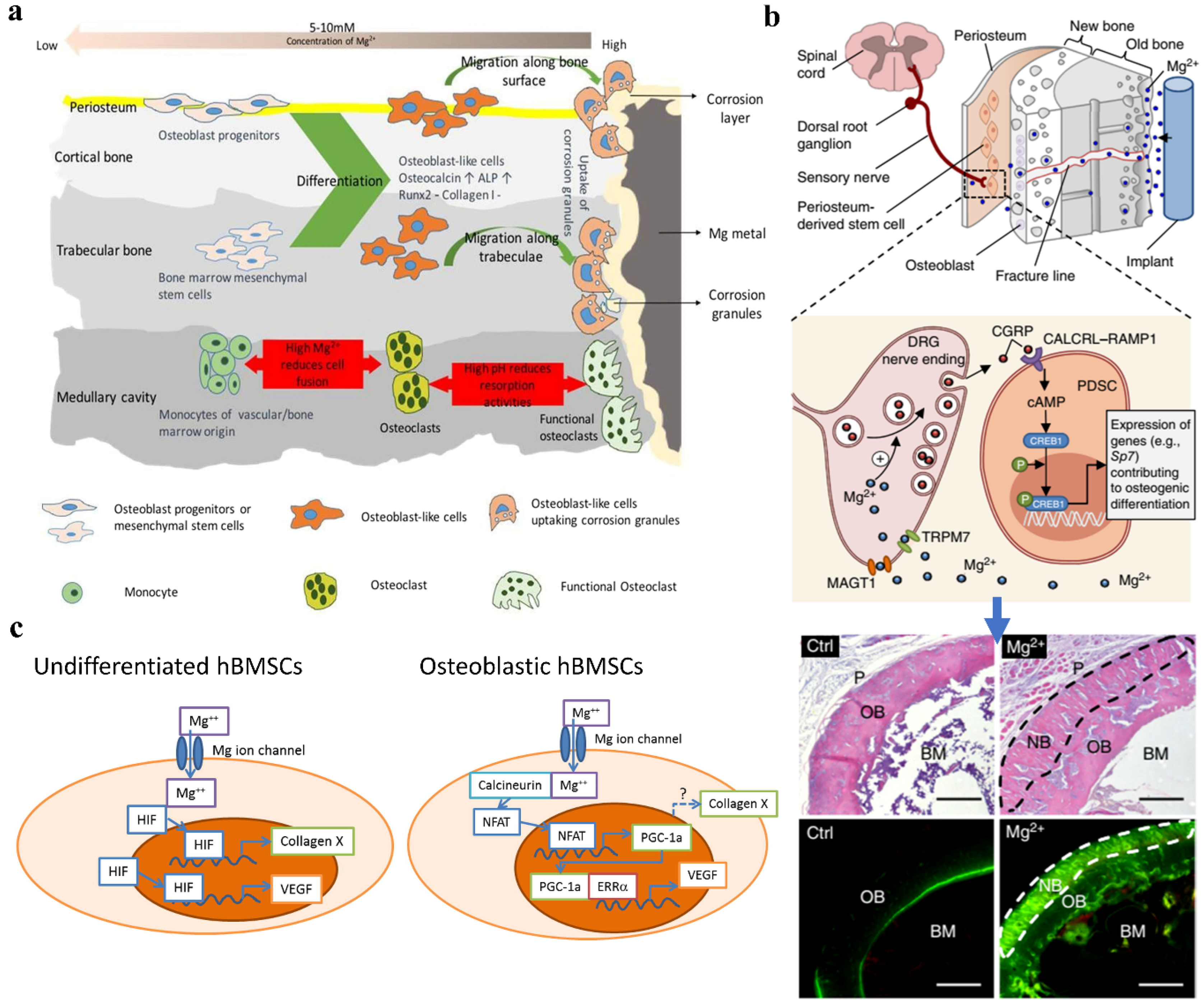 Metals 12 02074 g005