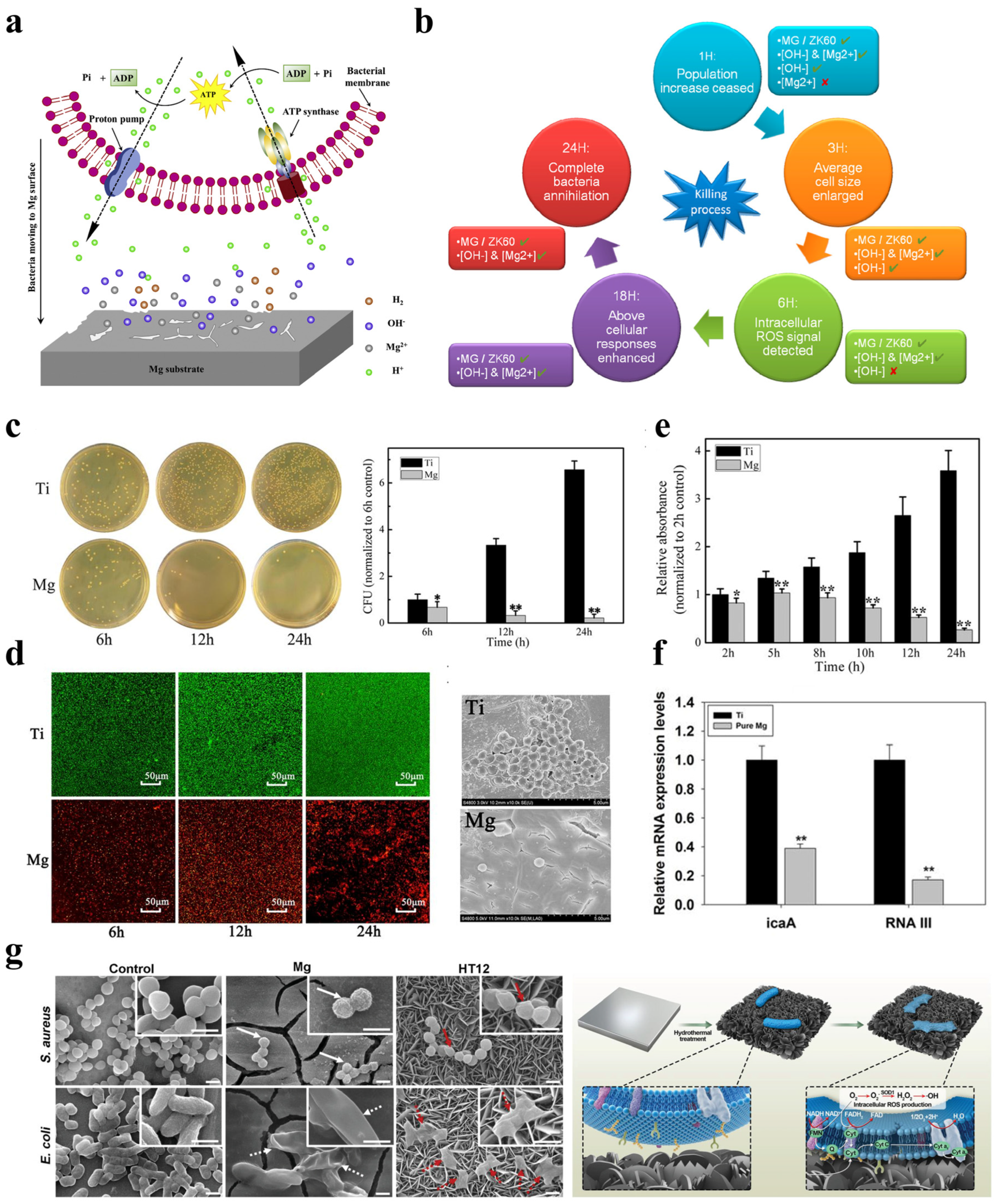 Metals 12 02074 g007