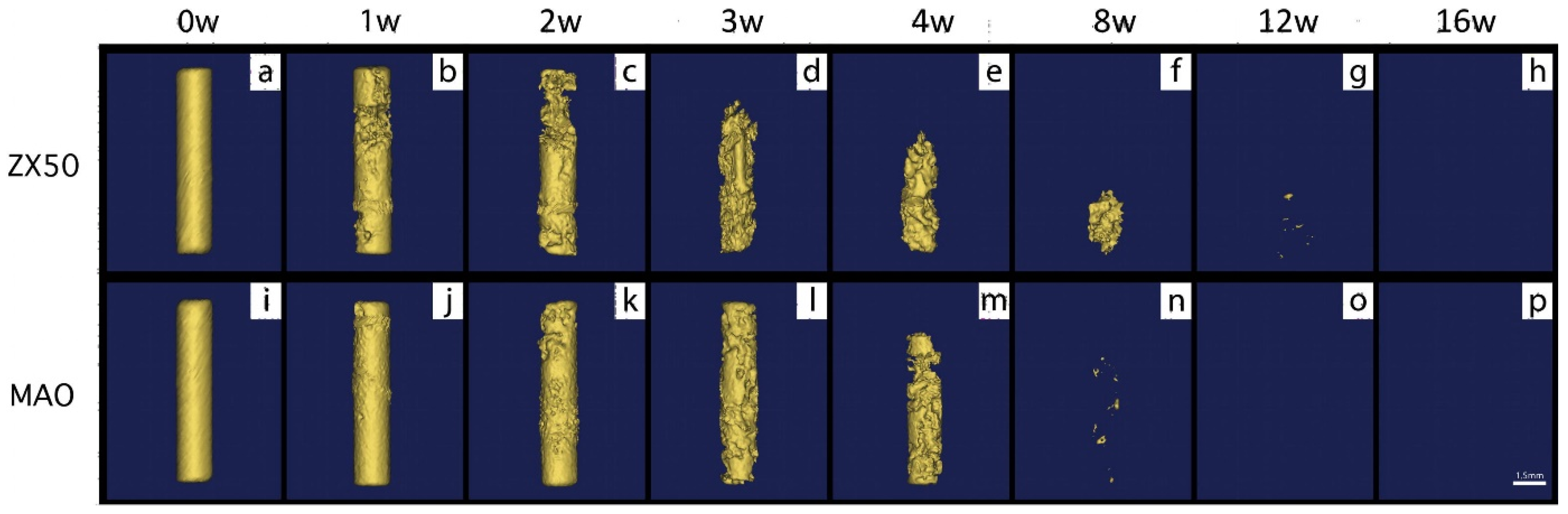 Metals 12 02074 g010