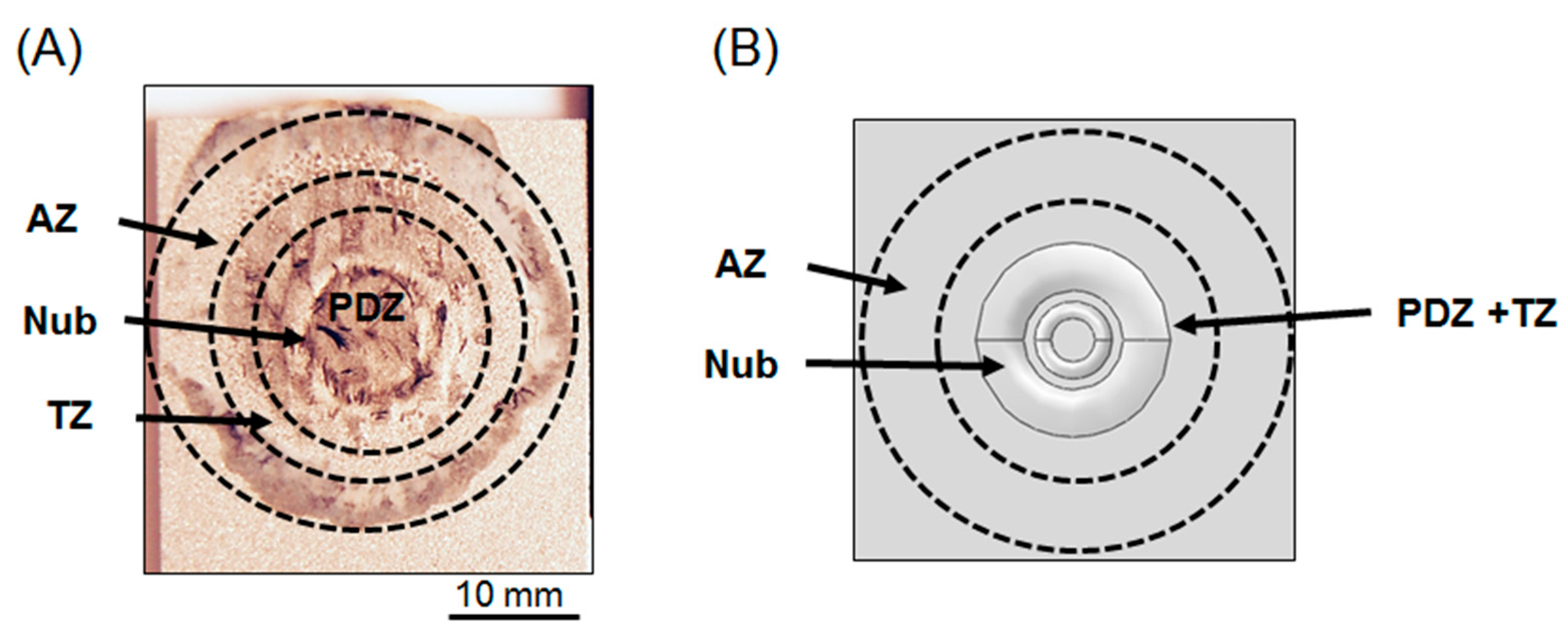 Metals 12 02080 g003
