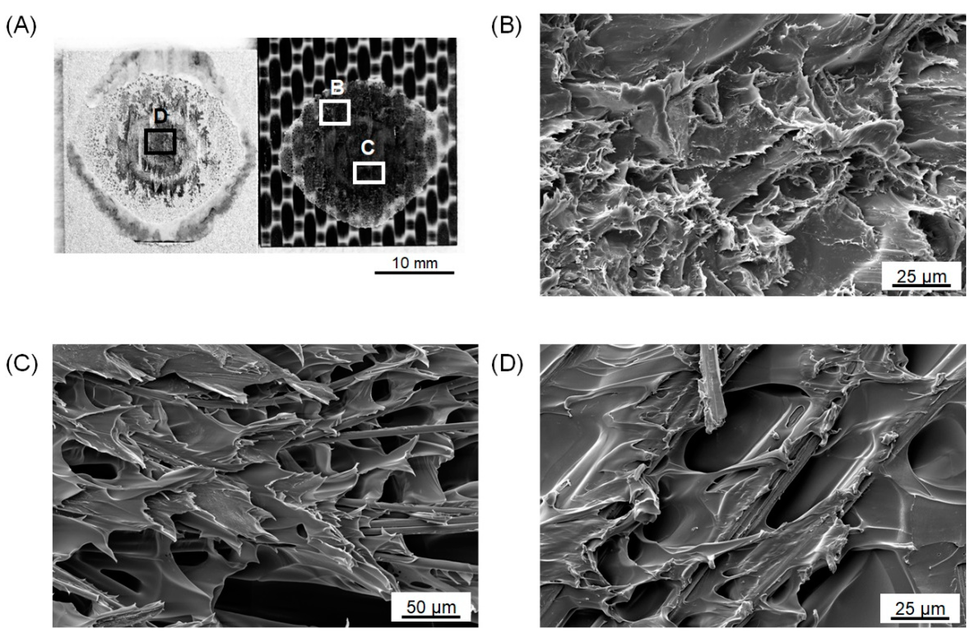 Metals 12 02080 g011