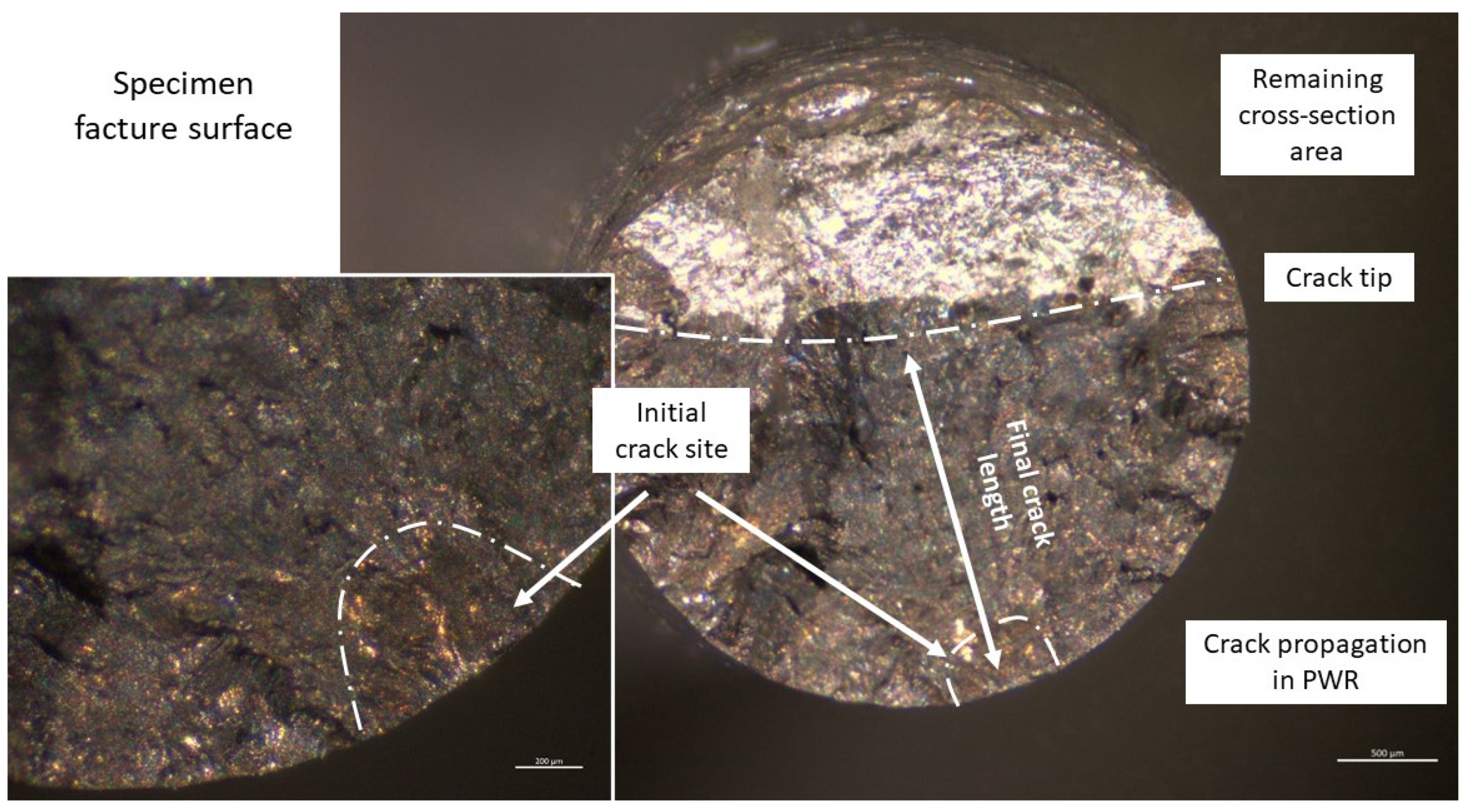 Metals 12 02091 g005