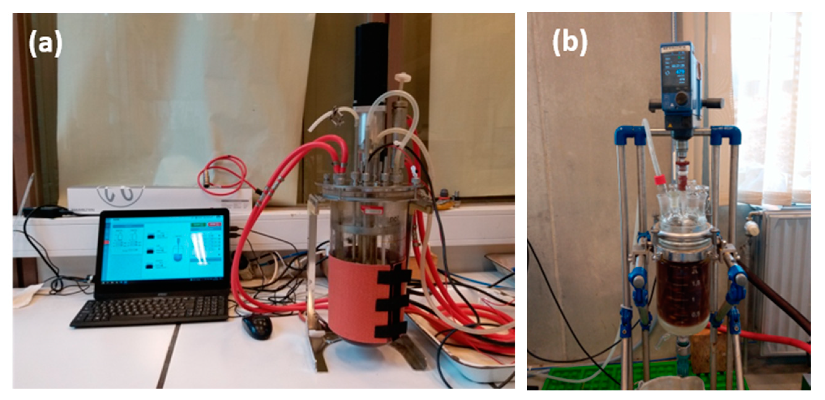 Metals 12 02092 g001 Metals 12 02092 g001