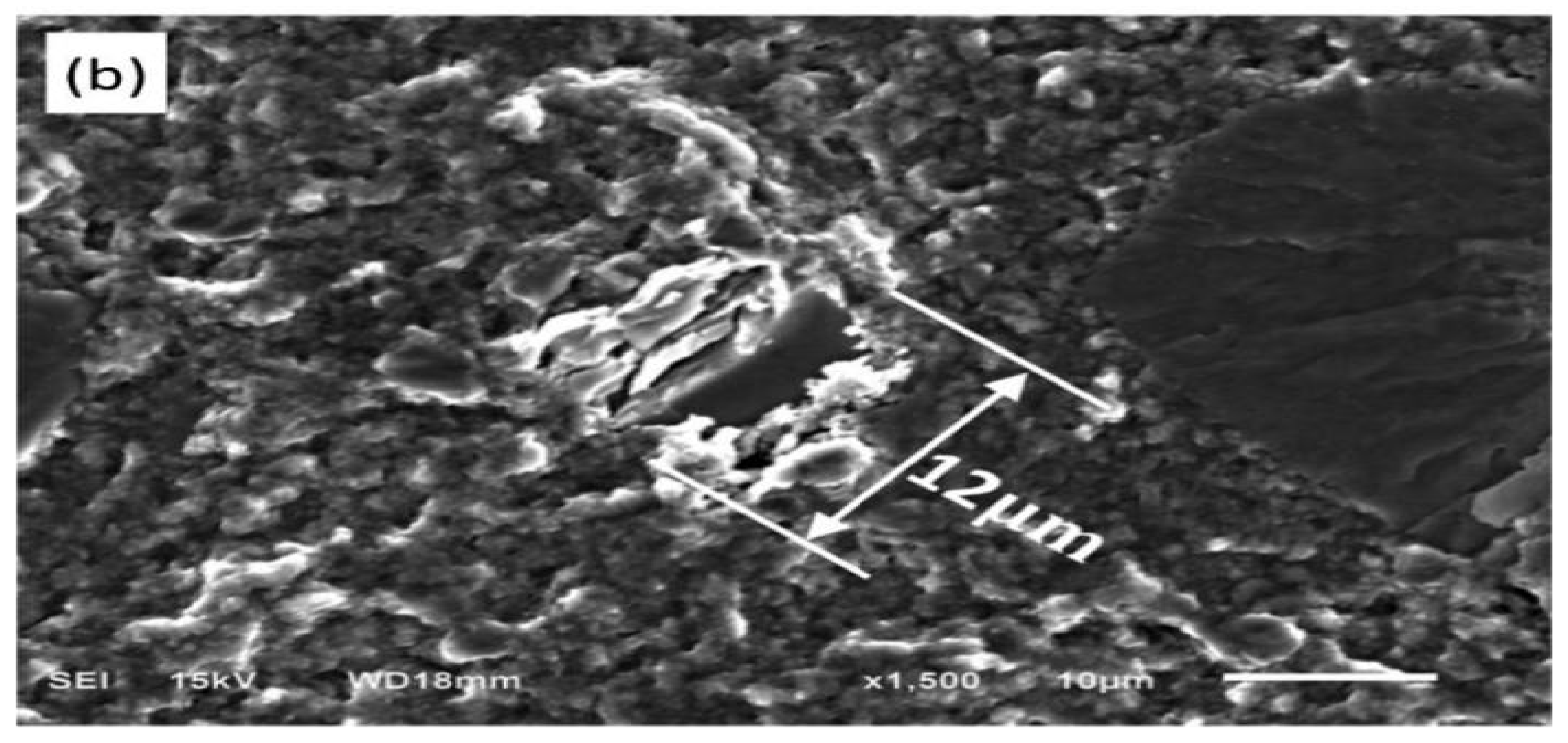 Metals 12 02099 g034b Metals 12 02099 g034b