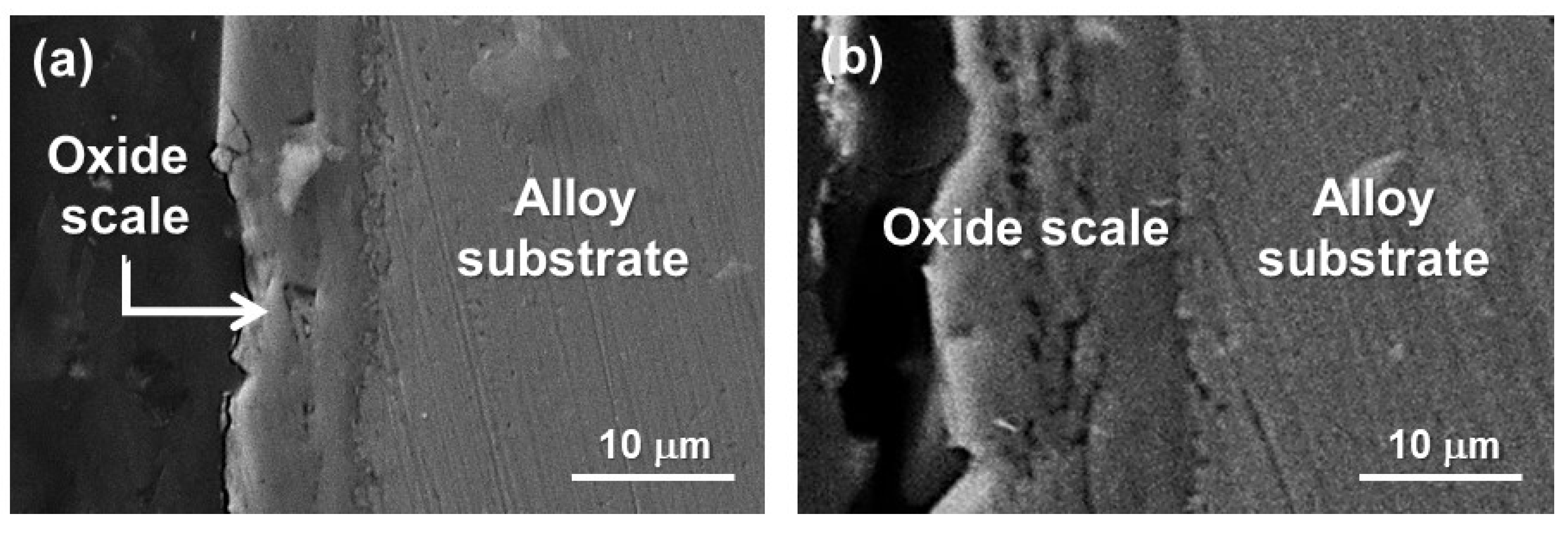 Metals 12 02156 g004