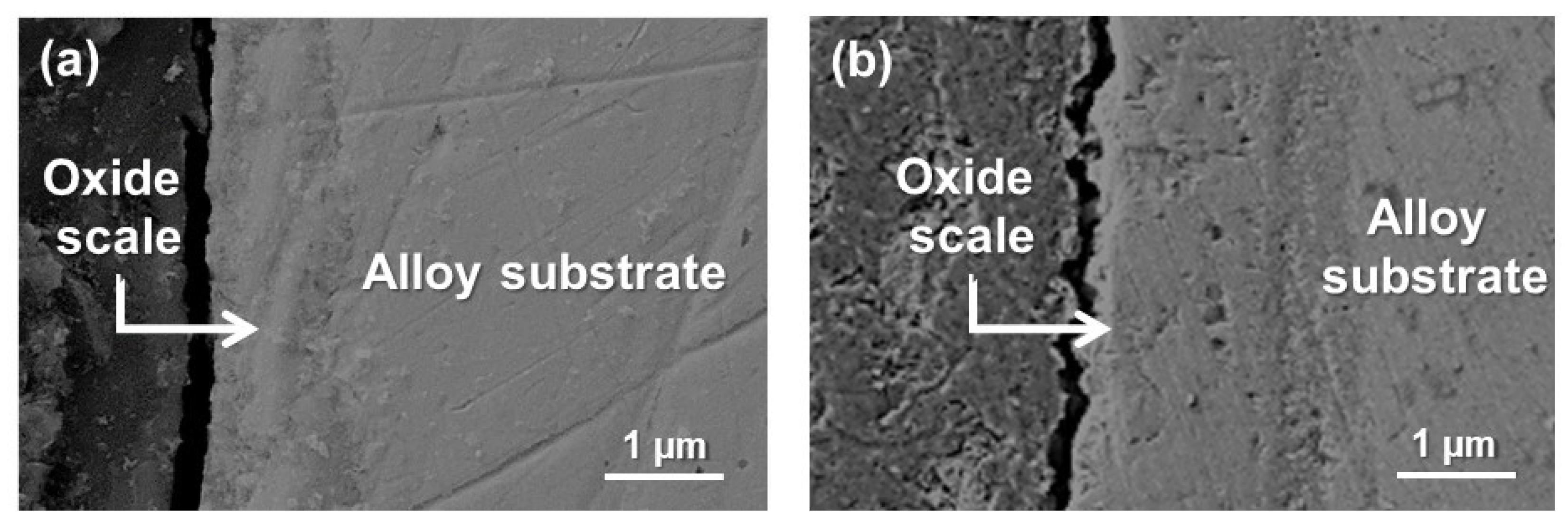 Metals 12 02156 g006