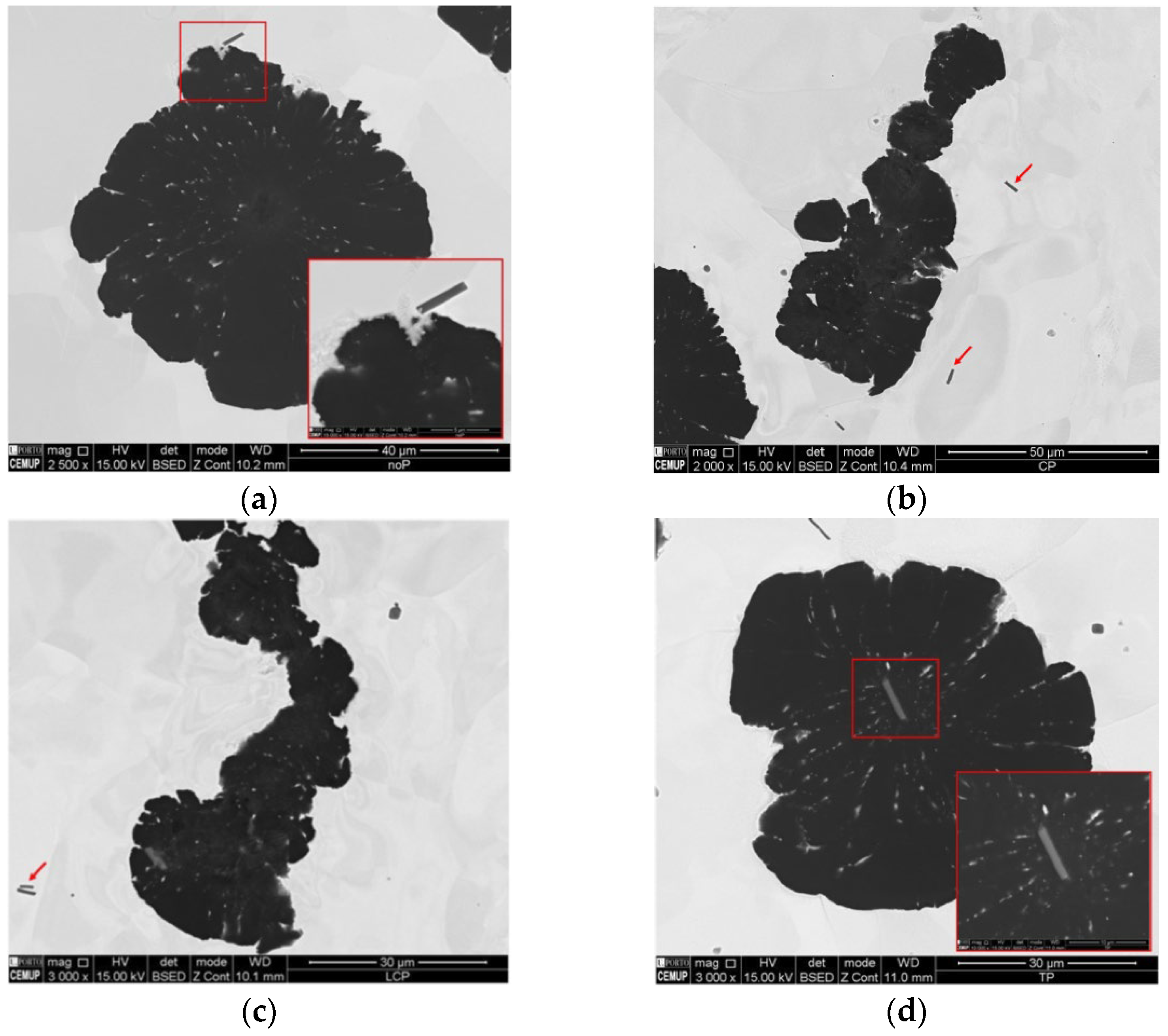Metals 13 00005 g006