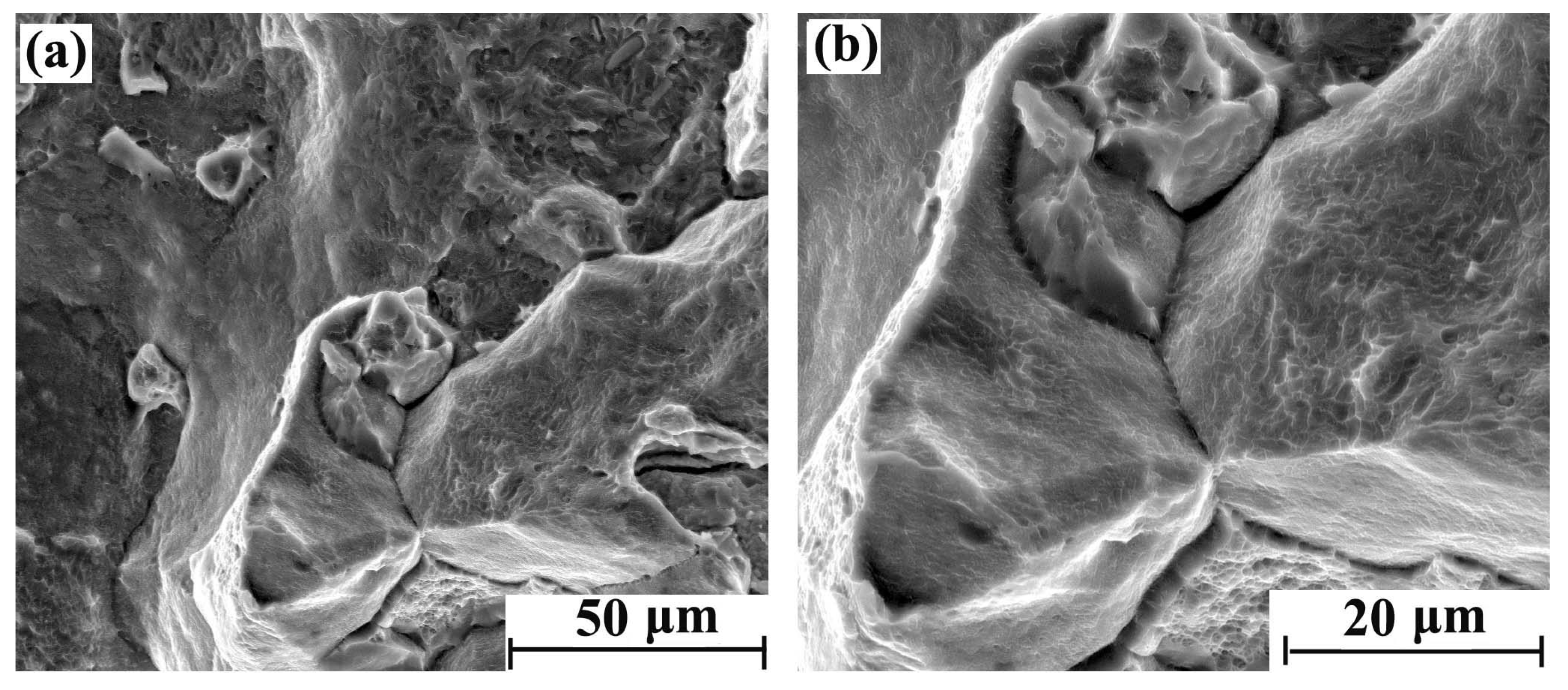 Metals 13 00040 g005 Metals 13 00040 g005