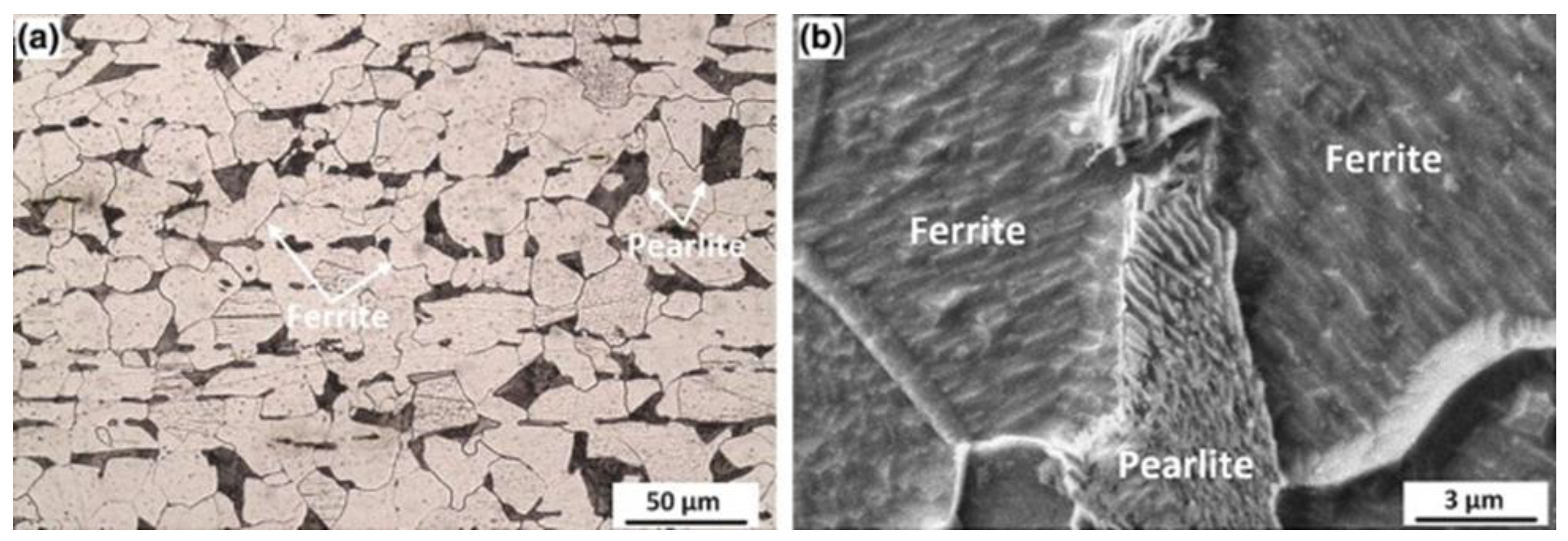 Metals 13 00054 g010