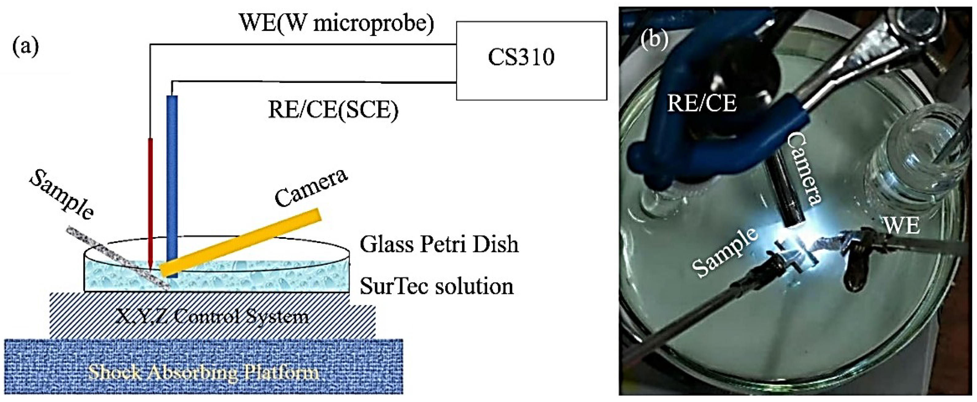 Metals 13 00093 g001