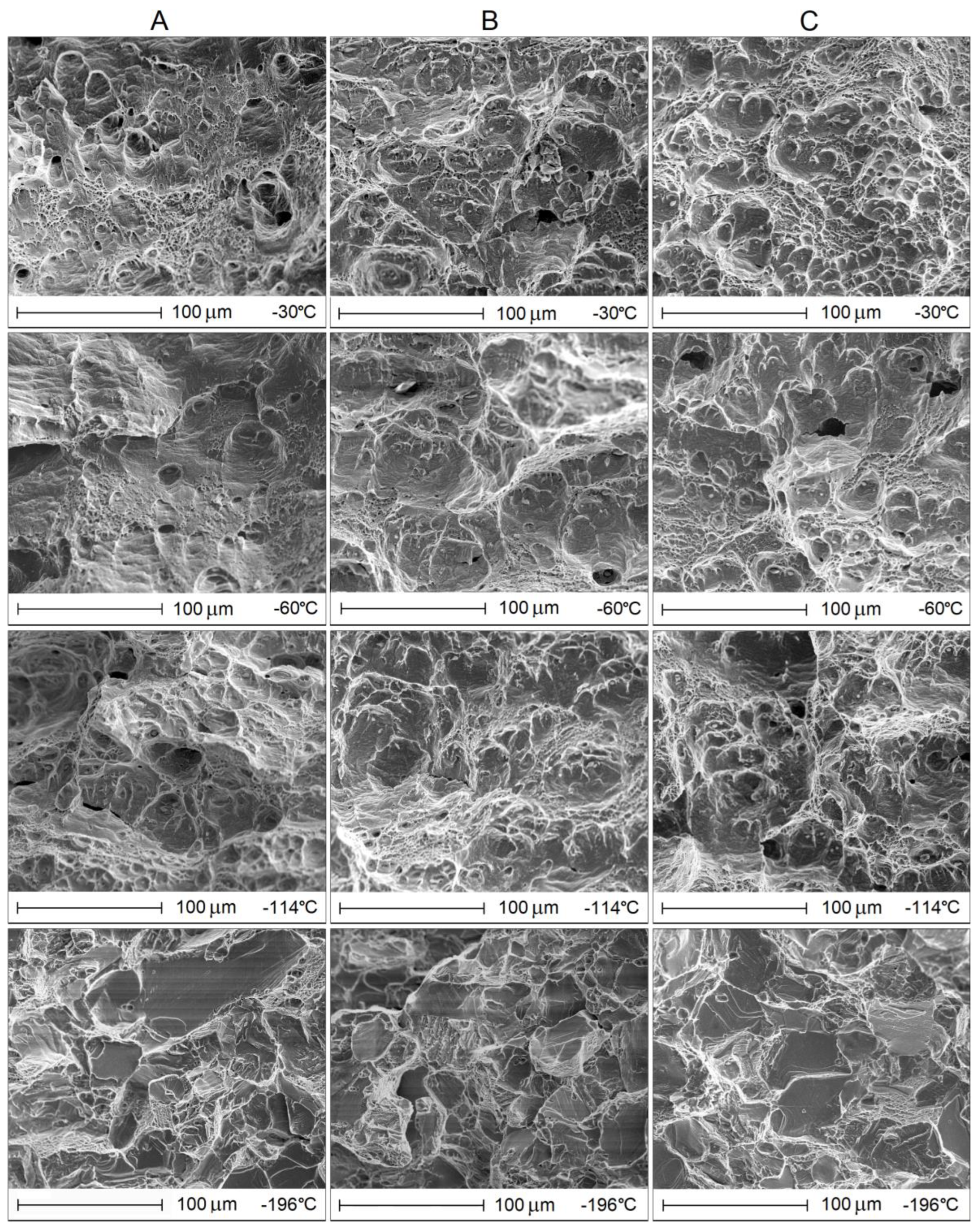 Metals 13 00095 g010