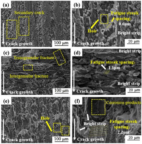The Effect of Fatigue Damage on the Corrosion Fatigue Crack Growth ...
