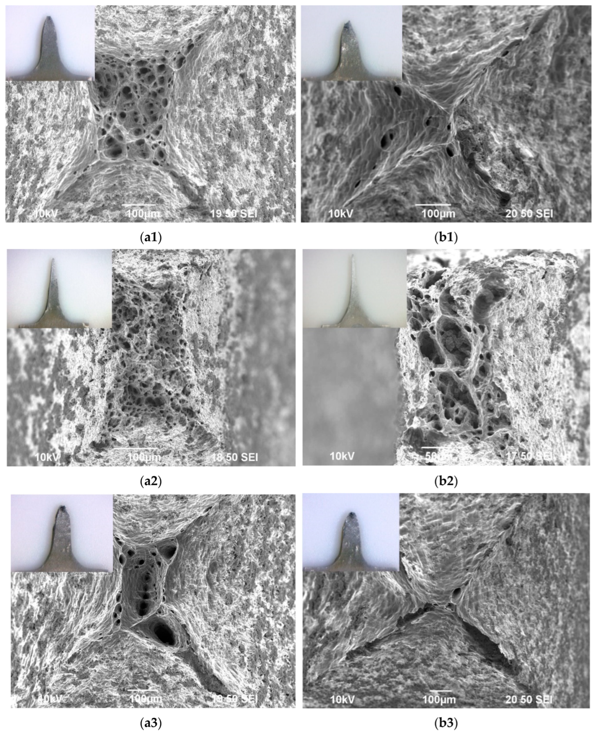 Metals 13 00133 g0a3a Metals 13 00133 g0a3a